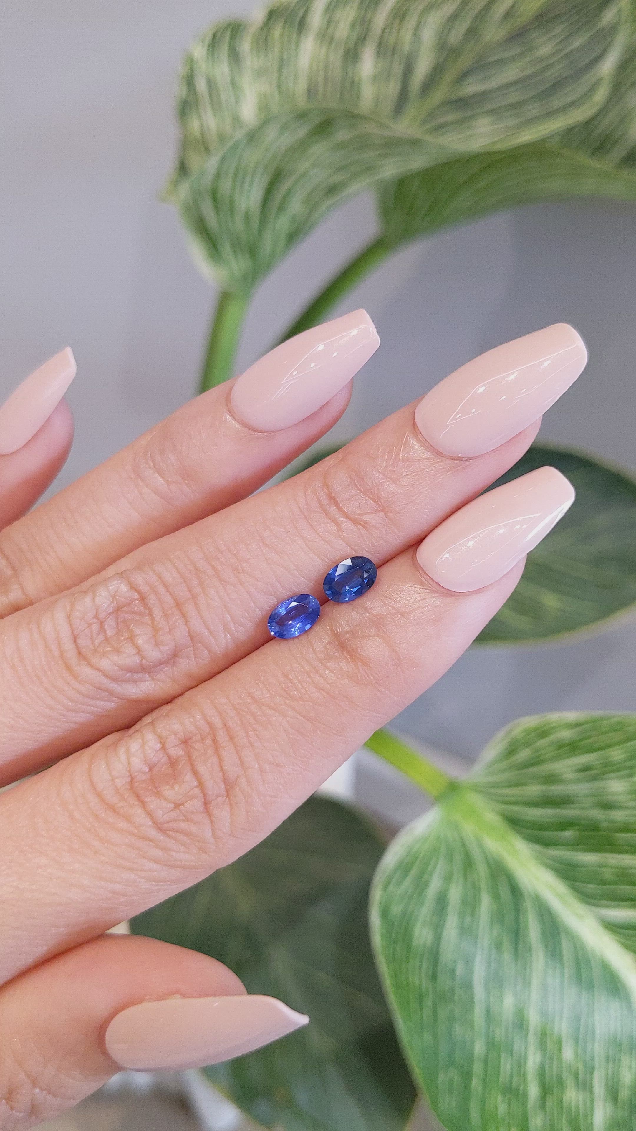 1.16&nbsp;Ct.Tw.Total Carat Weight Blue Sapphire Pair from Ceylon (Sri Lanka) Size Video