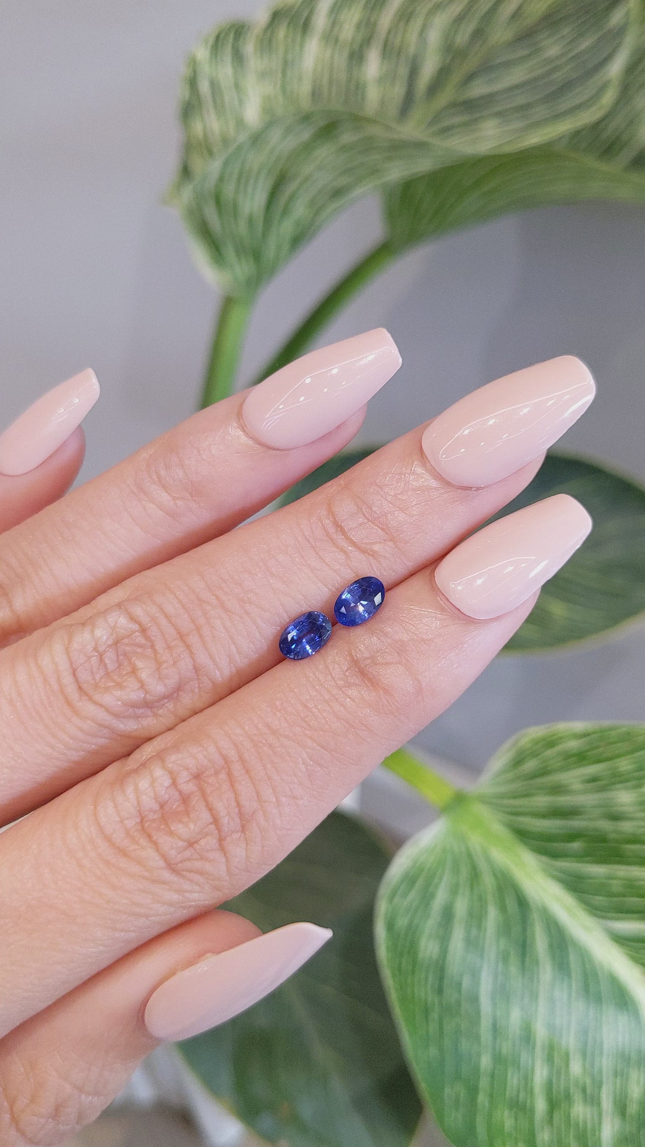 1.25&nbsp;Ct.Tw.Total Carat Weight Blue Sapphire Pair from Ceylon (Sri Lanka) Size Video