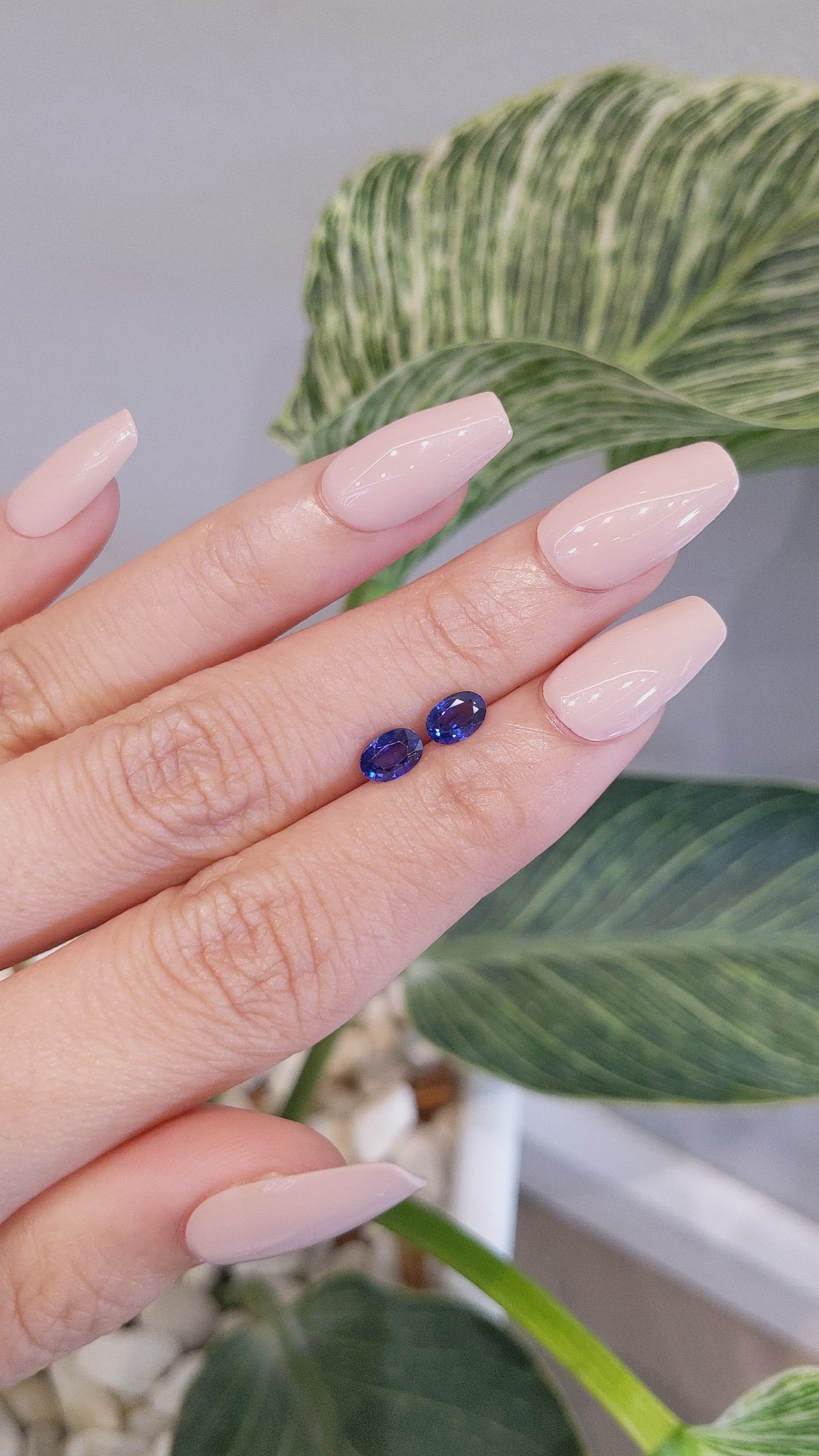 1.24&nbsp;Ct.Tw.Total Carat Weight Blue Sapphire Pair from Ceylon (Sri Lanka) Size Video