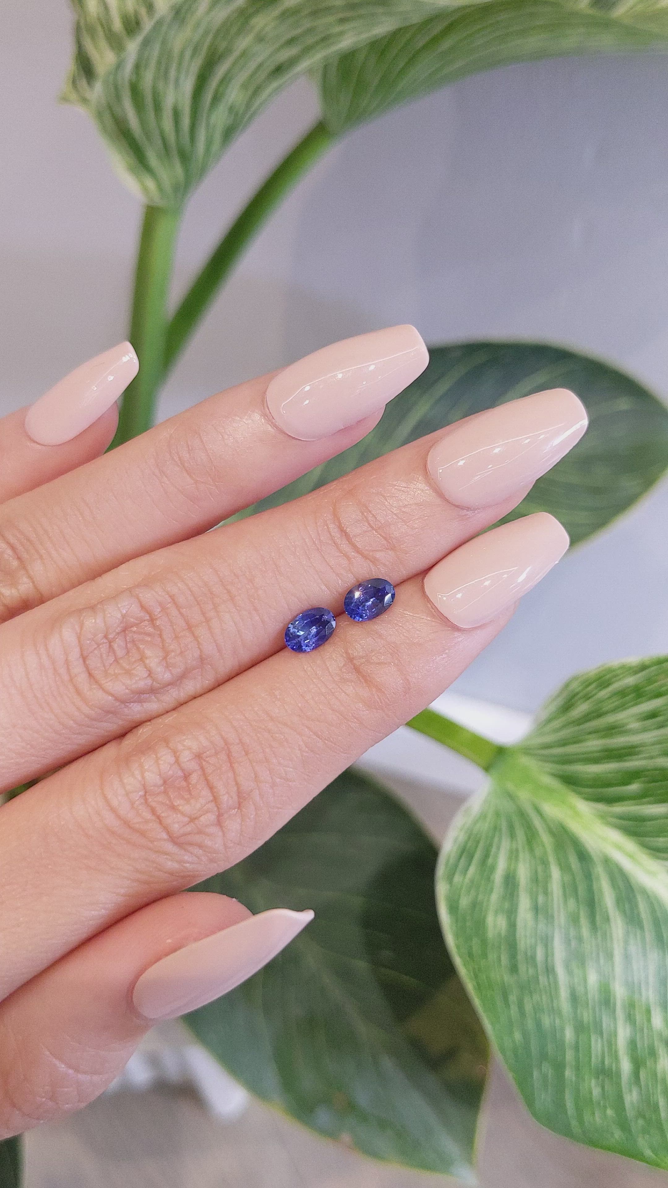 1.29 Ct.Tw.Total Carat Weight Blue Sapphire Pair from Ceylon (Sri Lanka) Size Video