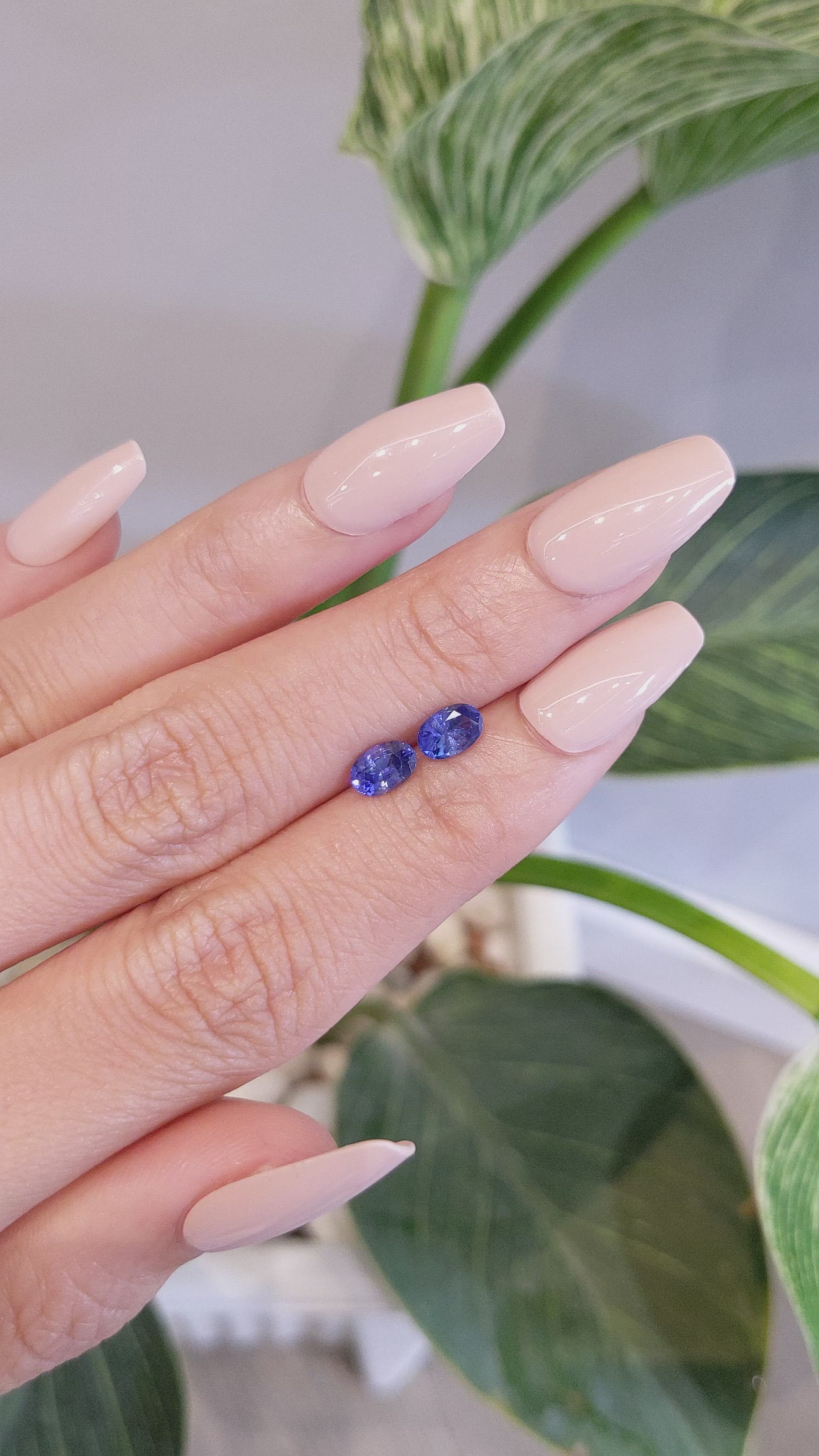 1.35&nbsp;Ct.Tw.Total Carat Weight Blue Sapphire Pair from Ceylon (Sri Lanka) Size Video