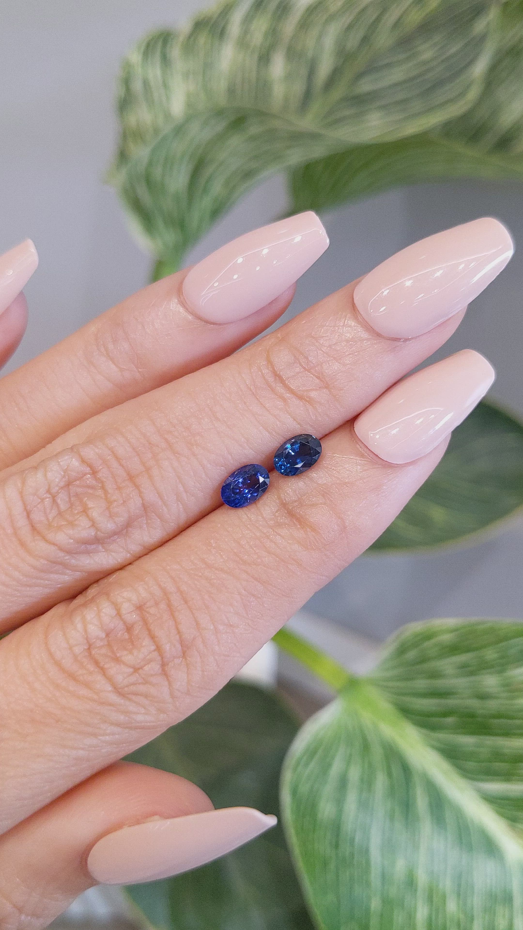 1.36&nbsp;Ct.Tw.Total Carat Weight Blue Sapphire Pair from Ceylon (Sri Lanka) Size Video