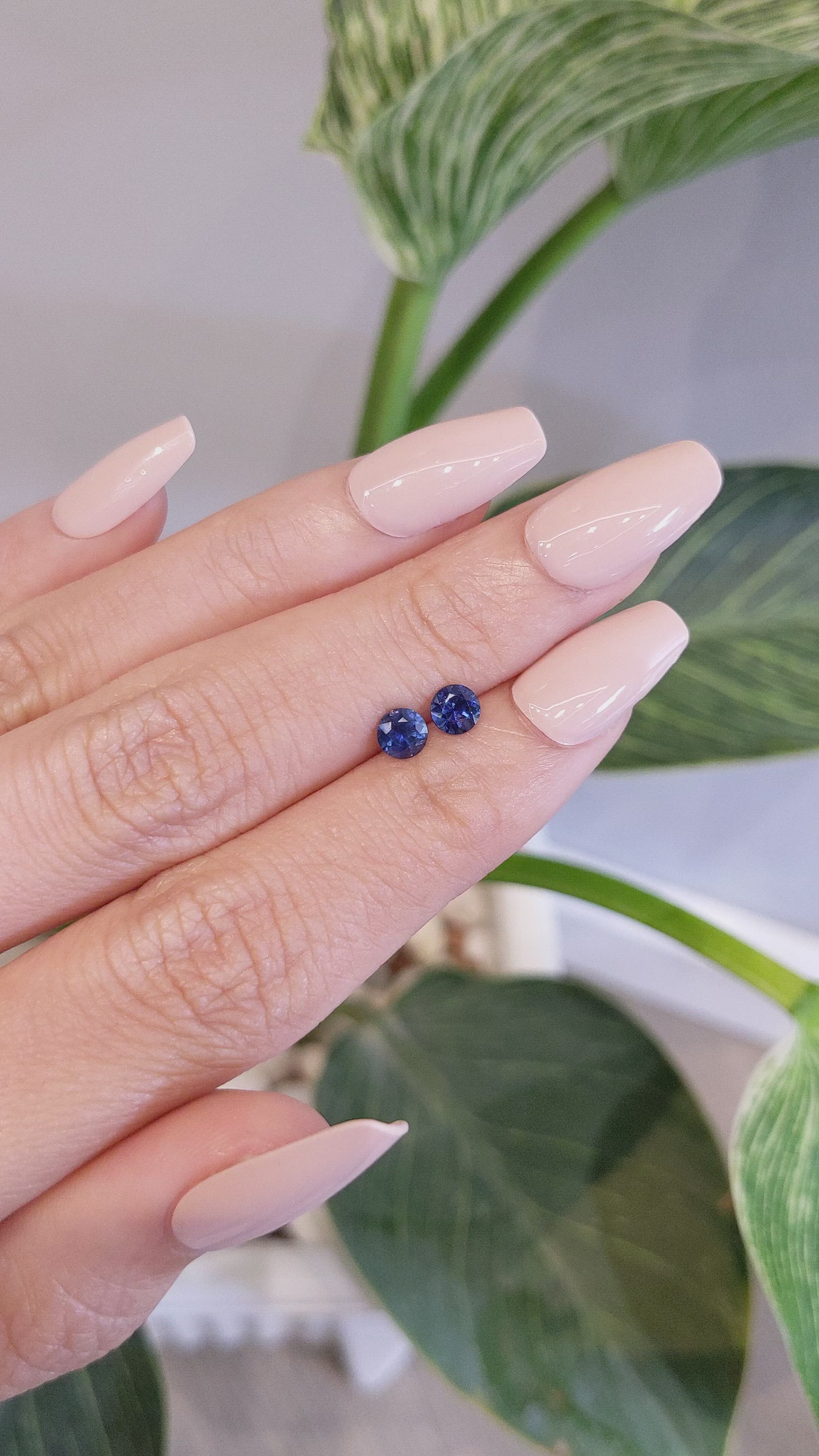 0.79 Ct.Tw.Total Carat Weight Blue Sapphire Pair from Ceylon (Sri Lanka) Size Video