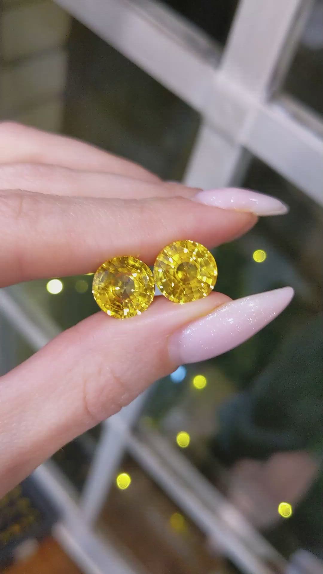 13.81 Ct.Tw.Total Carat Weight Yellow Sapphire Pair from Ceylon (Sri Lanka) Size Video