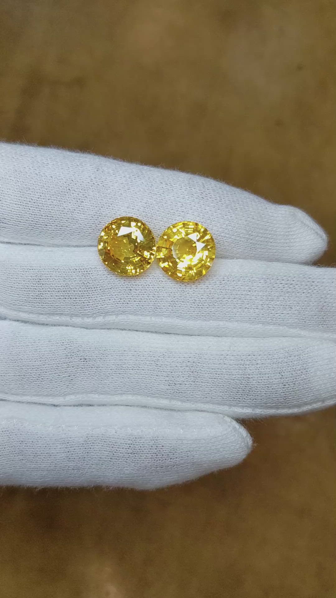 13.81 Ct.Tw.Total Carat Weight Yellow Sapphire Pair from Ceylon (Sri Lanka) Size Video