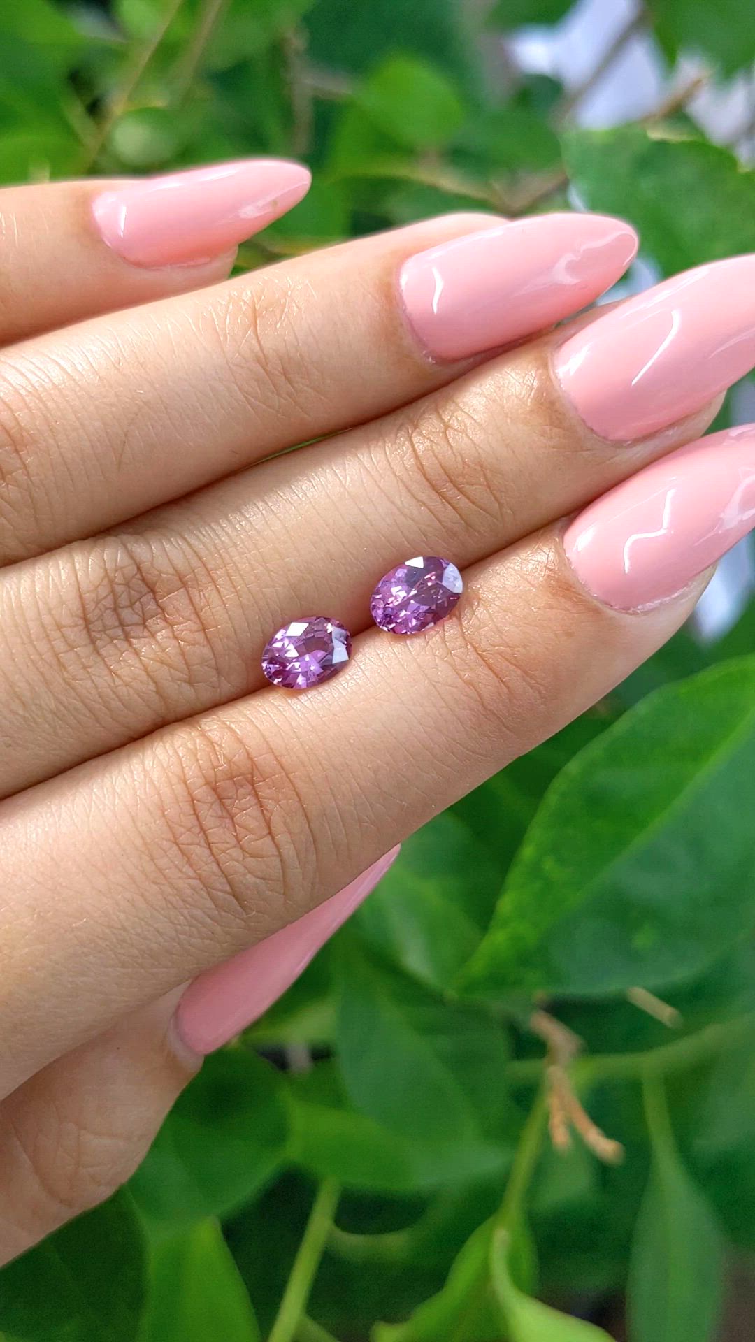 1.92 Ct.Tw.Total Carat Weight Pink Sapphire Pair from Ceylon (Sri Lanka) Size Video