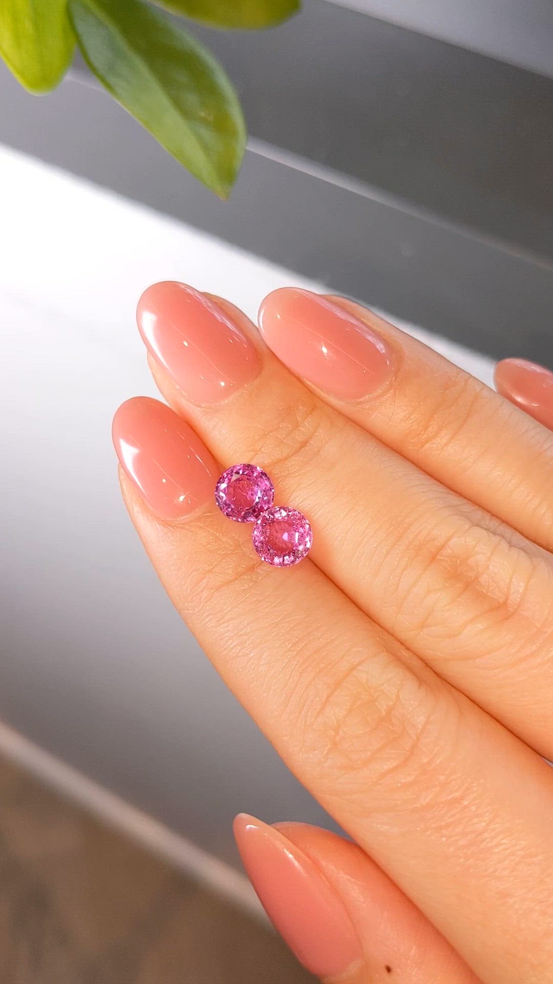 2.78&nbsp;Ct.Tw.Total Carat Weight Pink Sapphire Pair from Ceylon (Sri Lanka) Size Video
