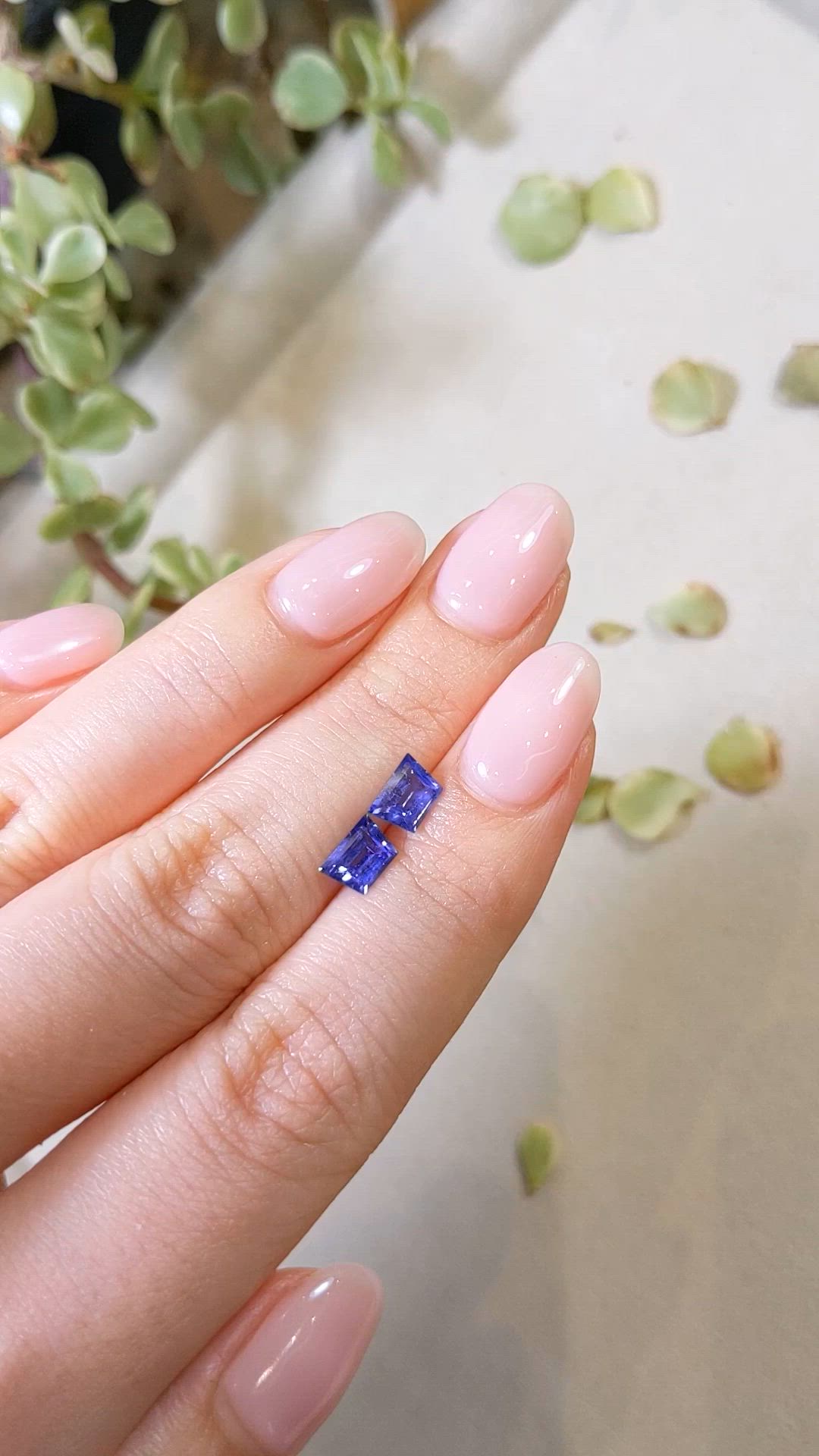 1.56&nbsp;Ct.Tw.Total Carat Weight Blue Sapphire Pair from Ceylon (Sri Lanka) Size Video