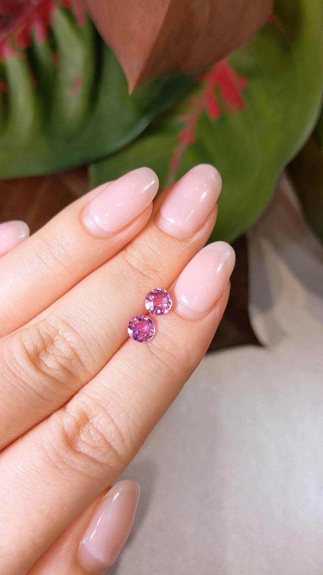 1.66&nbsp;Ct.Tw.Total Carat Weight Pink Sapphire Pair from Ceylon (Sri Lanka) Size Video