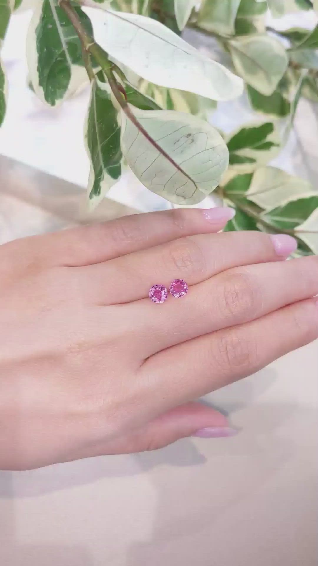 1.56 Ct.Tw.Total Carat Weight Pink Sapphire Pair from Ceylon (Sri Lanka) Size Video