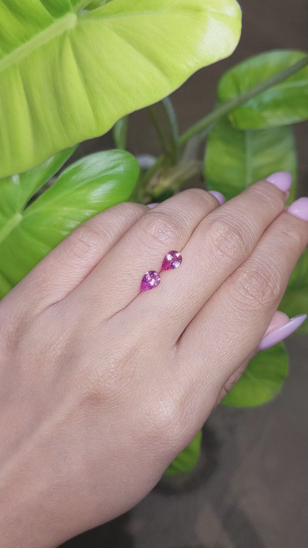 1.36&nbsp;Ct.Tw.Total Carat Weight Pink Sapphire Pair from Ceylon (Sri Lanka) Size Video