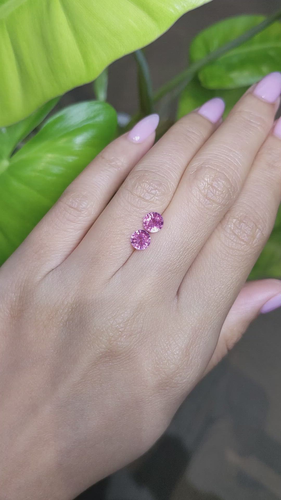1.80&nbsp;Ct.Tw.Total Carat Weight Pink Sapphire Pair from Ceylon (Sri Lanka) Size Video