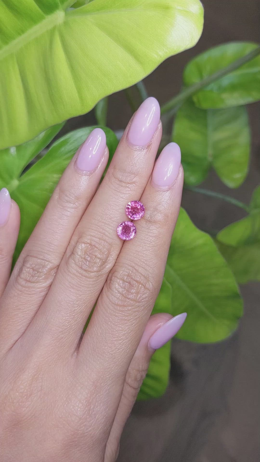 2.52&nbsp;Ct.Tw.Total Carat Weight Pink Sapphire Pair from Ceylon (Sri Lanka) Size Video