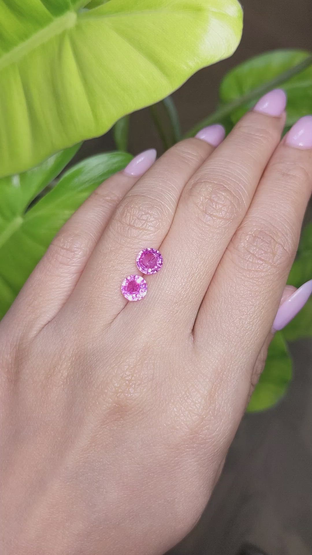 2.10&nbsp;Ct.Tw.Total Carat Weight Pink Sapphire Pair from Ceylon (Sri Lanka) Size Video