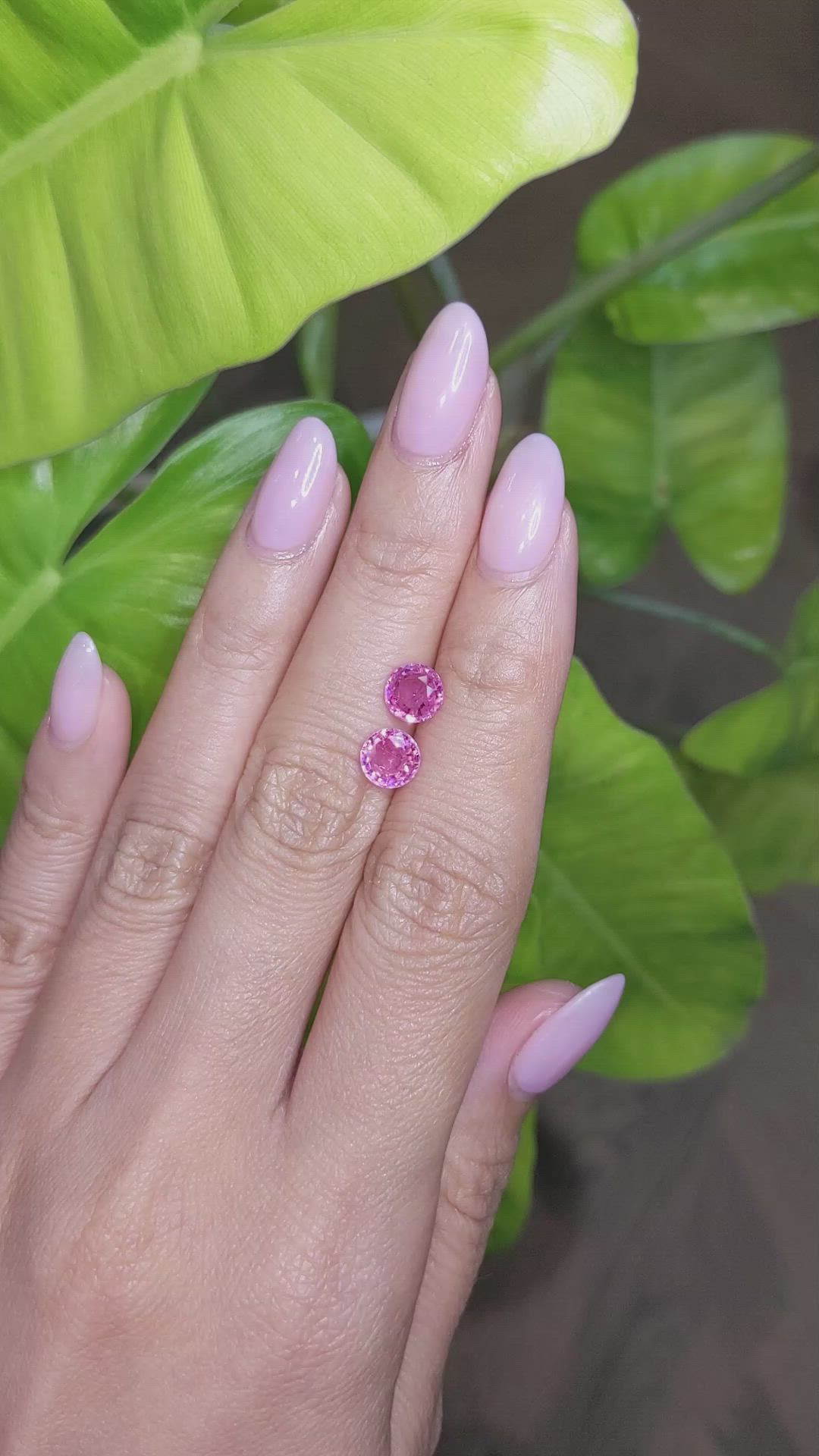 2.47&nbsp;Ct.Tw.Total Carat Weight Pink Sapphire Pair from Ceylon (Sri Lanka) Size Video