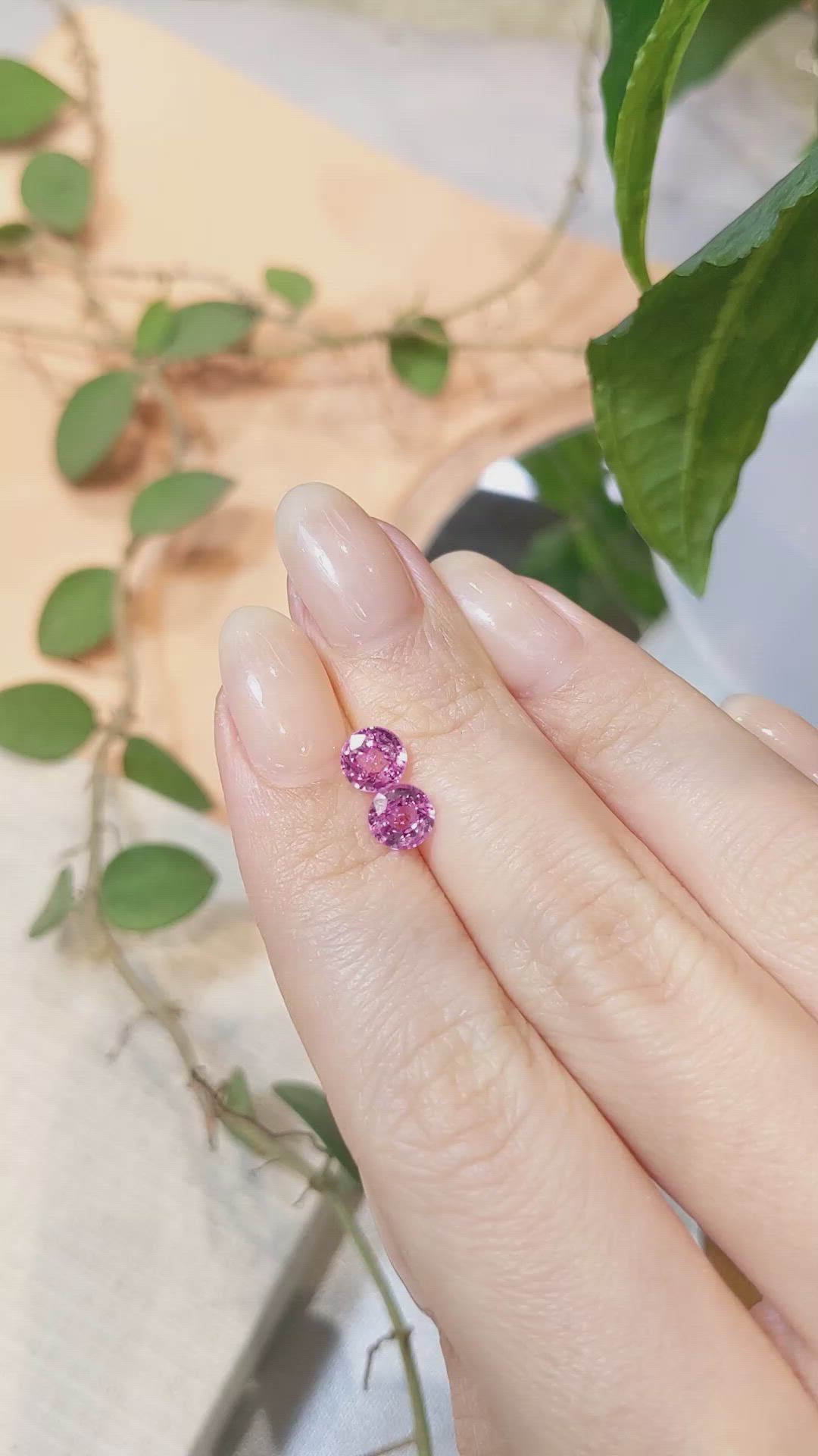 1.98&nbsp;Ct.Tw.Total Carat Weight Pink Sapphire Pair from Ceylon (Sri Lanka) Size Video