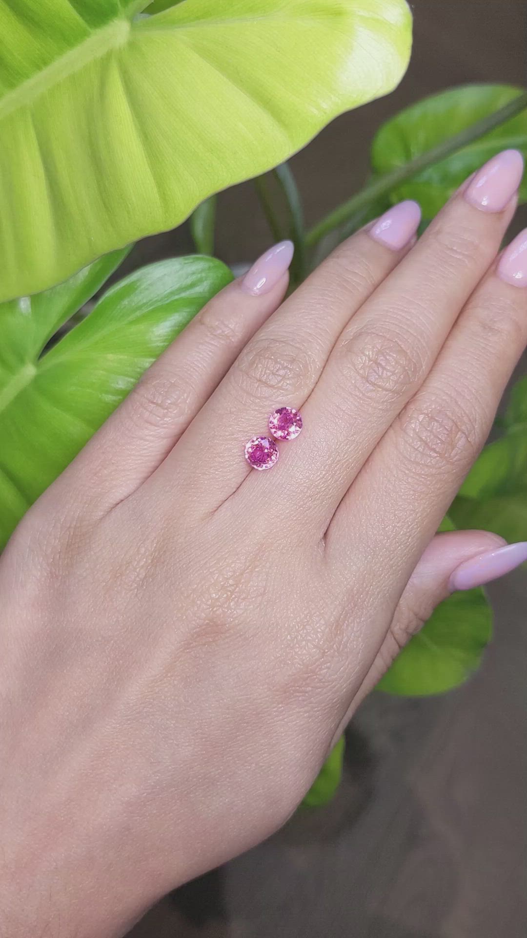 2.10&nbsp;Ct.Tw.Total Carat Weight Pink Sapphire Pair from Ceylon (Sri Lanka) Size Video