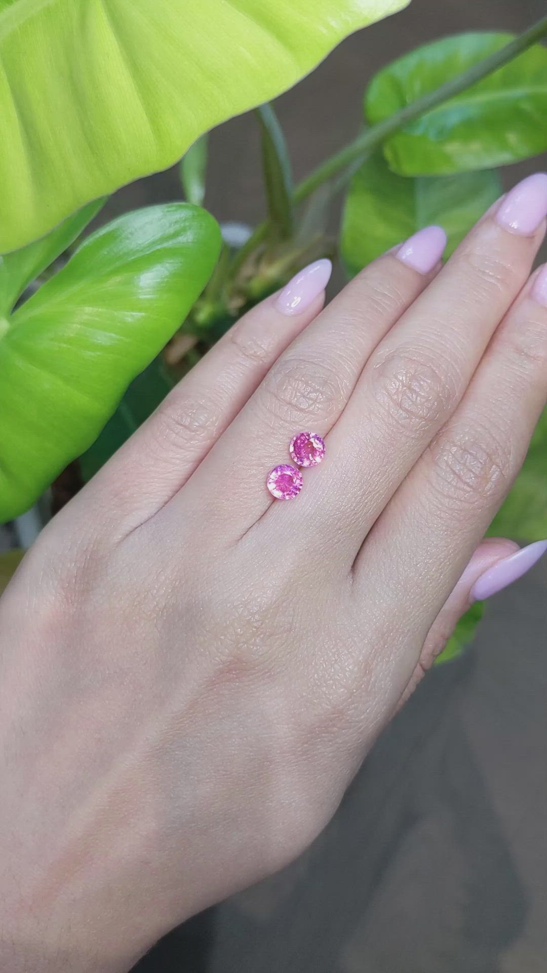 2.12&nbsp;Ct.Tw.Total Carat Weight Pink Sapphire Pair from Ceylon (Sri Lanka) Size Video