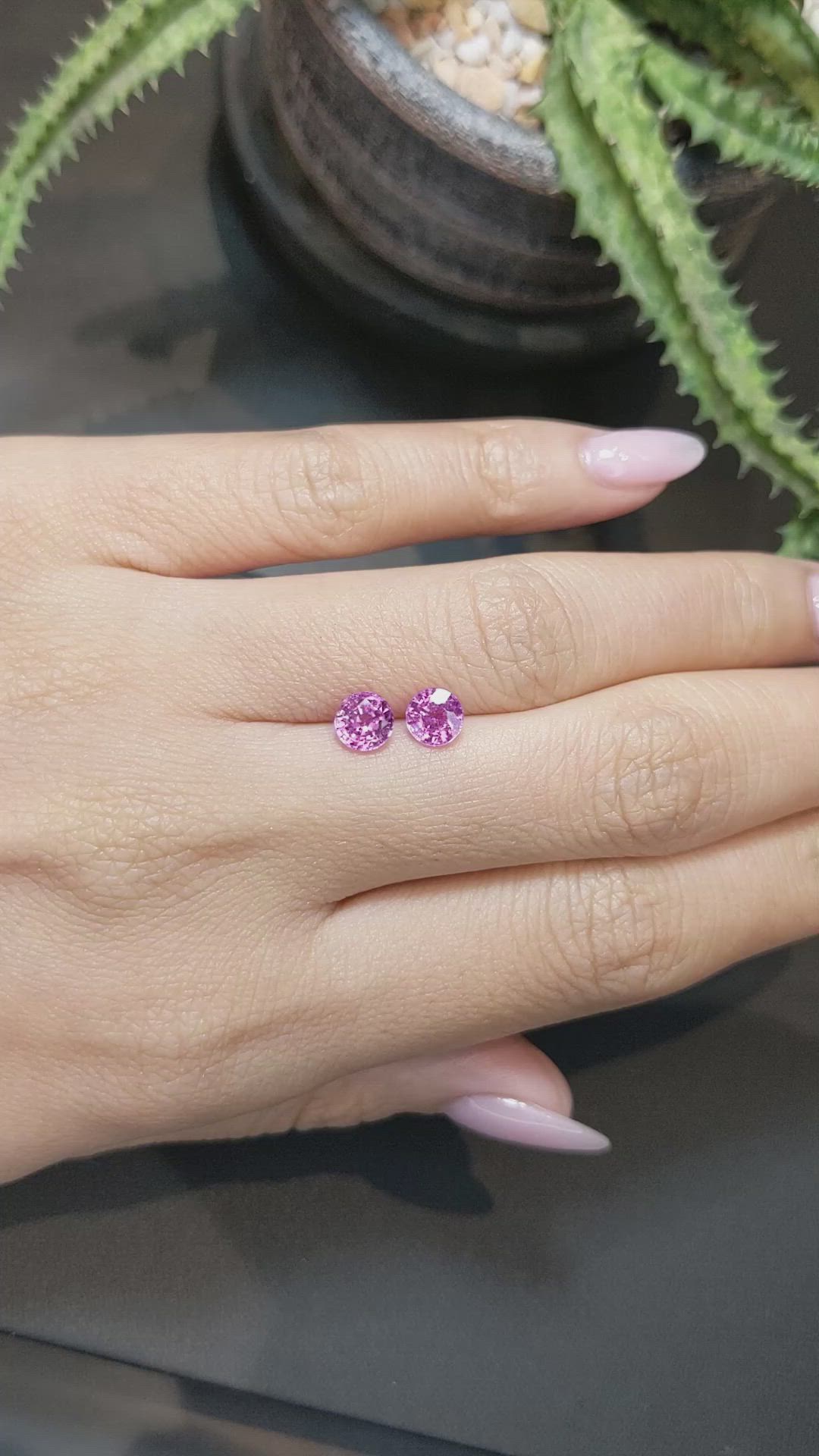 1.64&nbsp;Ct.Tw.Total Carat Weight Pink Sapphire Pair from Ceylon (Sri Lanka) Size Video