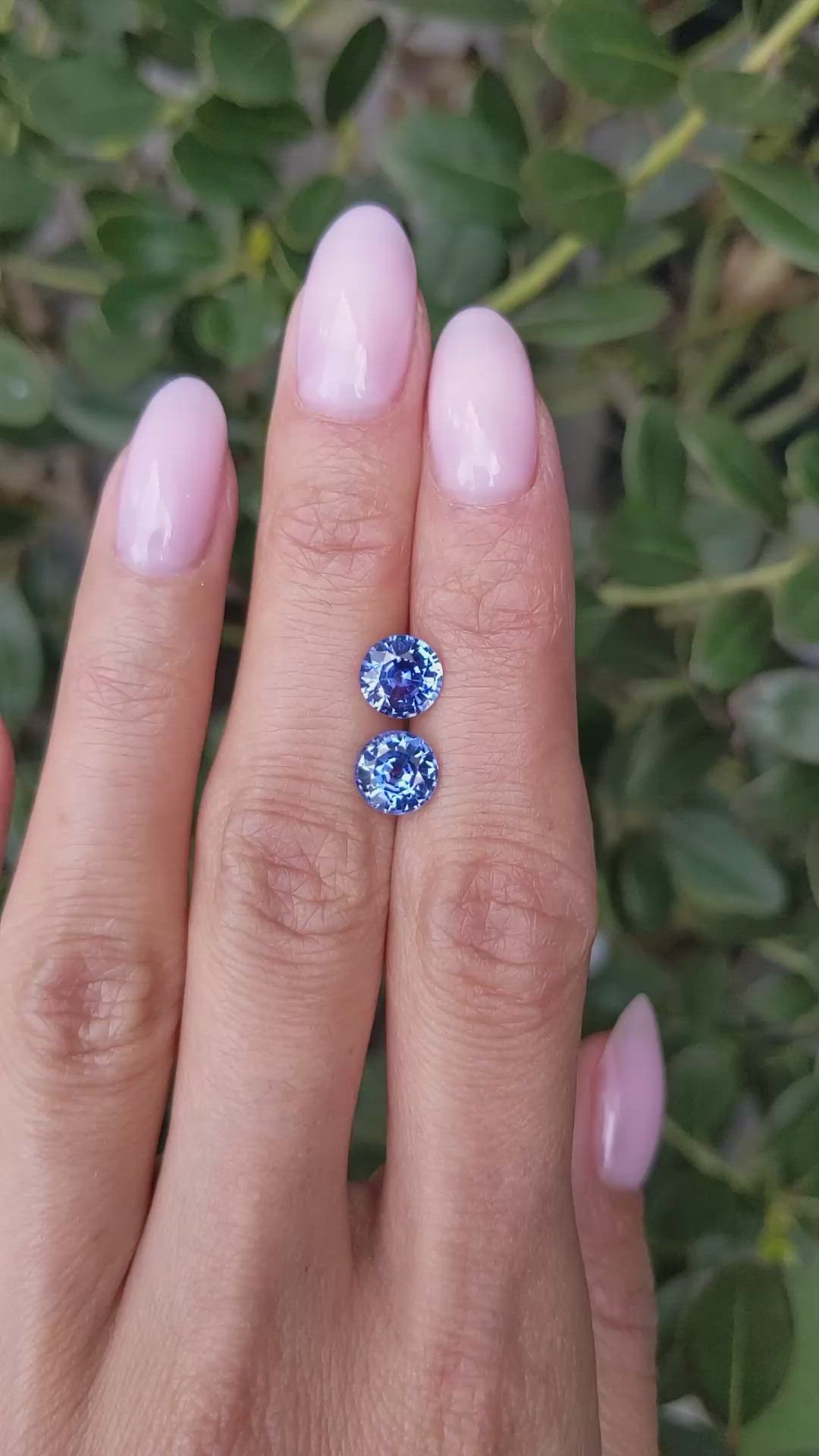 3.02 Ct.Tw.Total Carat Weight Blue Sapphire Pair from Ceylon (Sri Lanka) Size Video