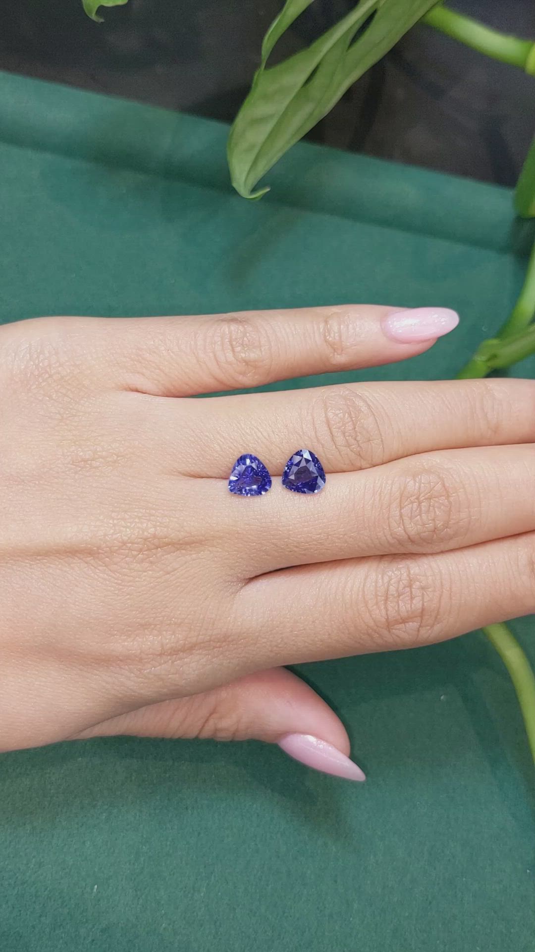 3.18&nbsp;Ct.Tw.Total Carat Weight Blue Sapphire Pair from Ceylon (Sri Lanka) Size Video