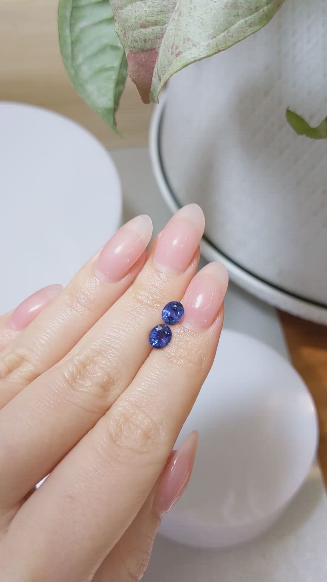 1.79&nbsp;Ct.Tw.Total Carat Weight Blue Sapphire Pair from Ceylon (Sri Lanka) Size Video