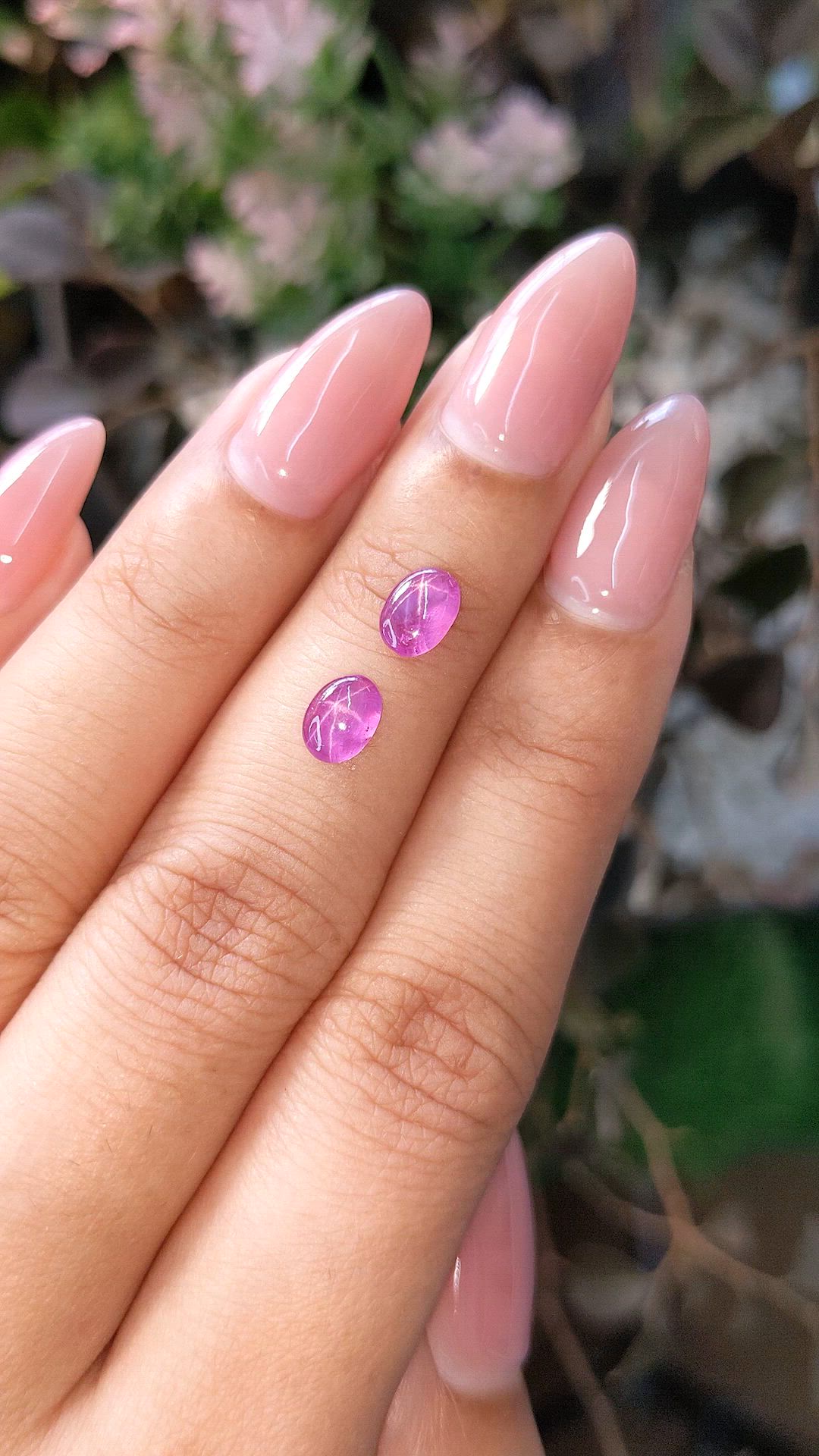 1.33 Ct.Tw.Total Carat Weight Pink Star Sapphire Pair from Ceylon (Sri Lanka) Size Video