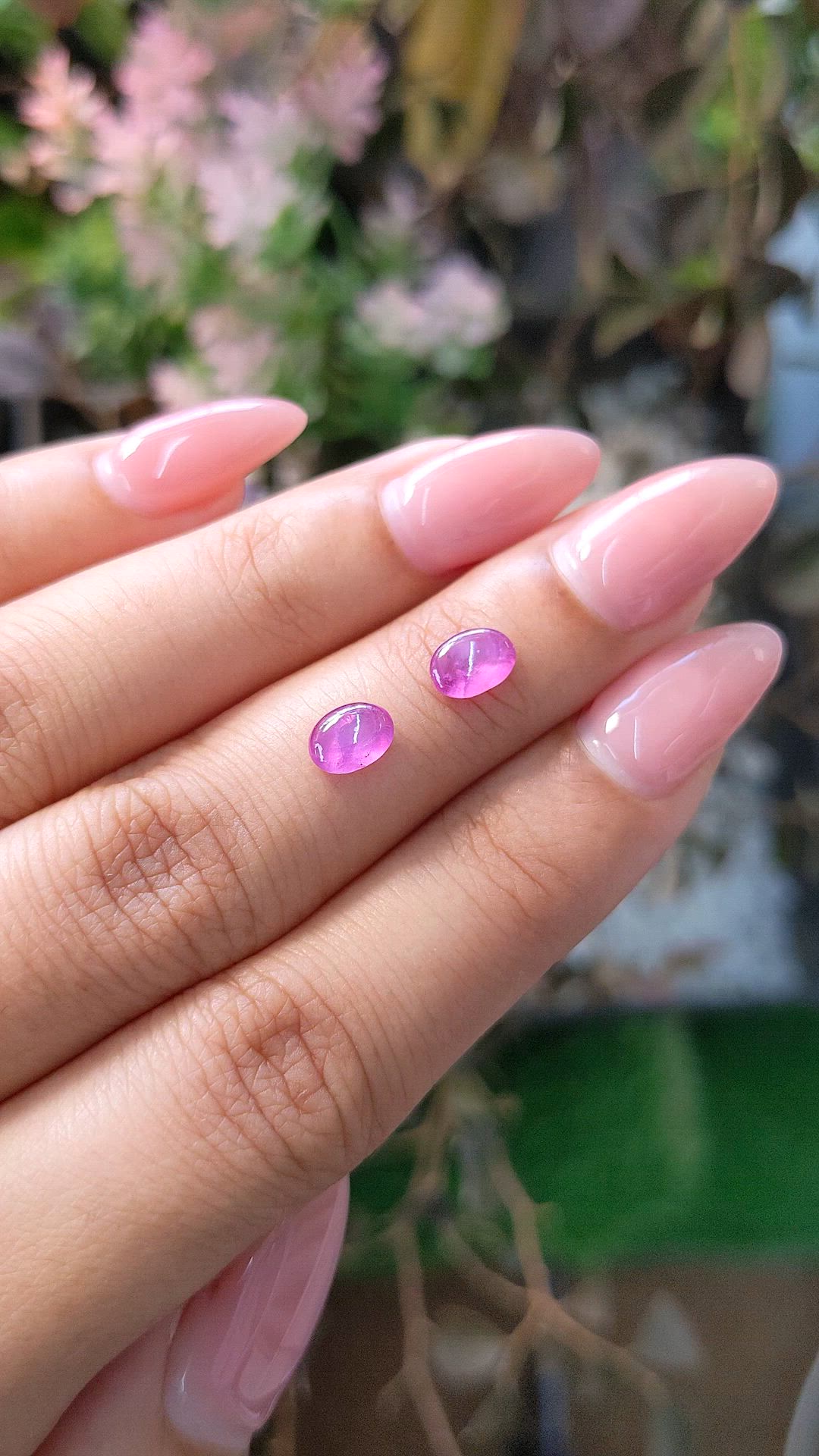 1.33 Ct.Tw.Total Carat Weight Pink Star Sapphire Pair from Ceylon (Sri Lanka) Size Video