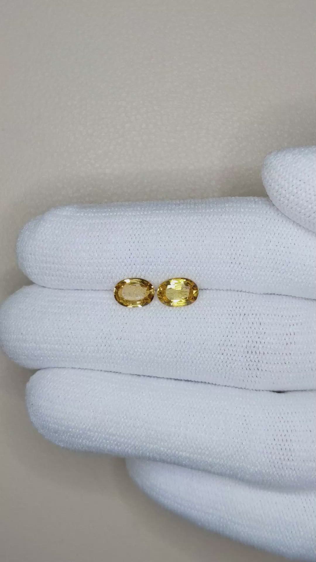 1.67&nbsp;Ct.Tw.Total Carat Weight Yellowish Brown Sapphire Pair from Ceylon (Sri Lanka) Size Video