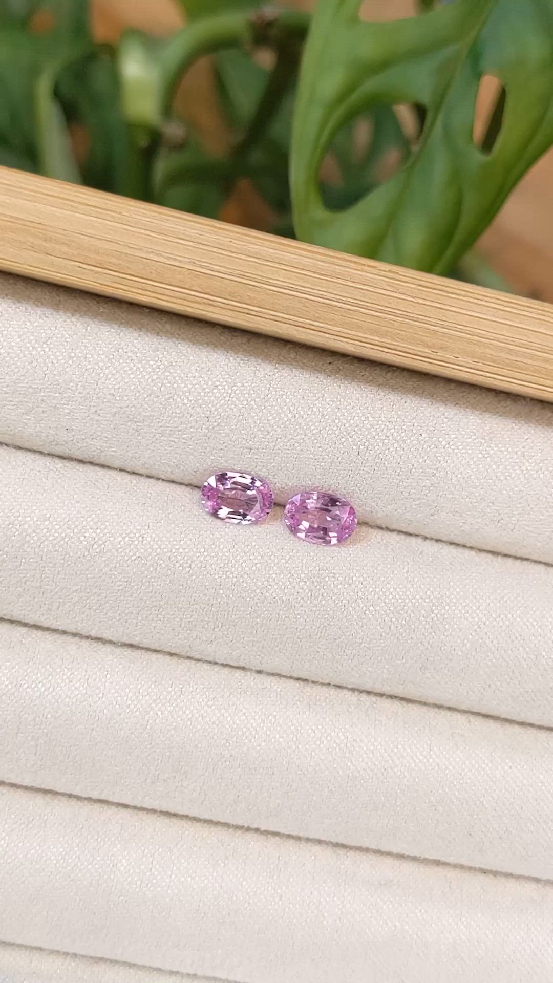 1.70 Ct.Tw.Total Carat Weight Pink Sapphire Pair from Ceylon (Sri Lanka) Size Video
