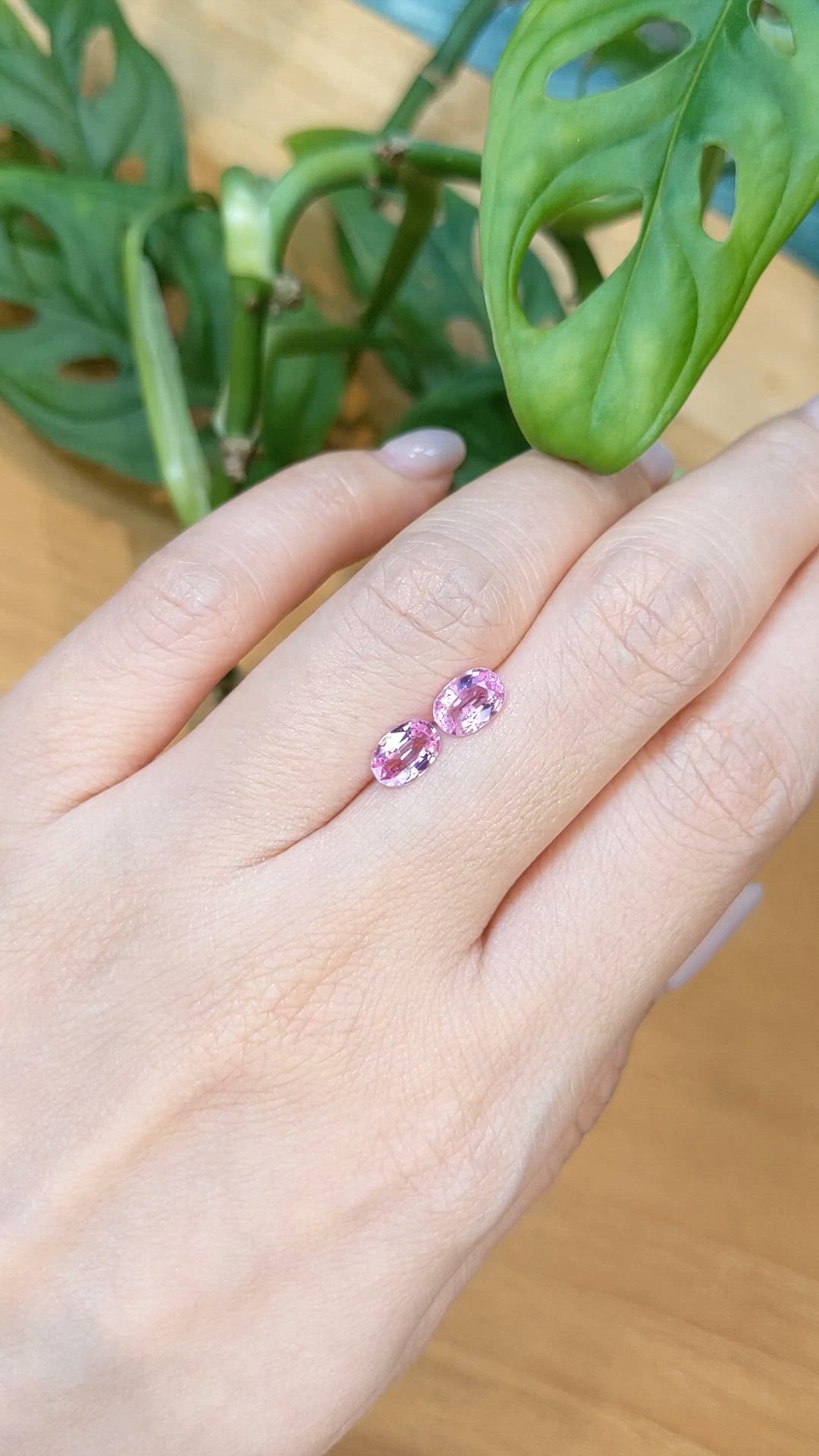 1.70 Ct.Tw.Total Carat Weight Pink Sapphire Pair from Ceylon (Sri Lanka) Size Video