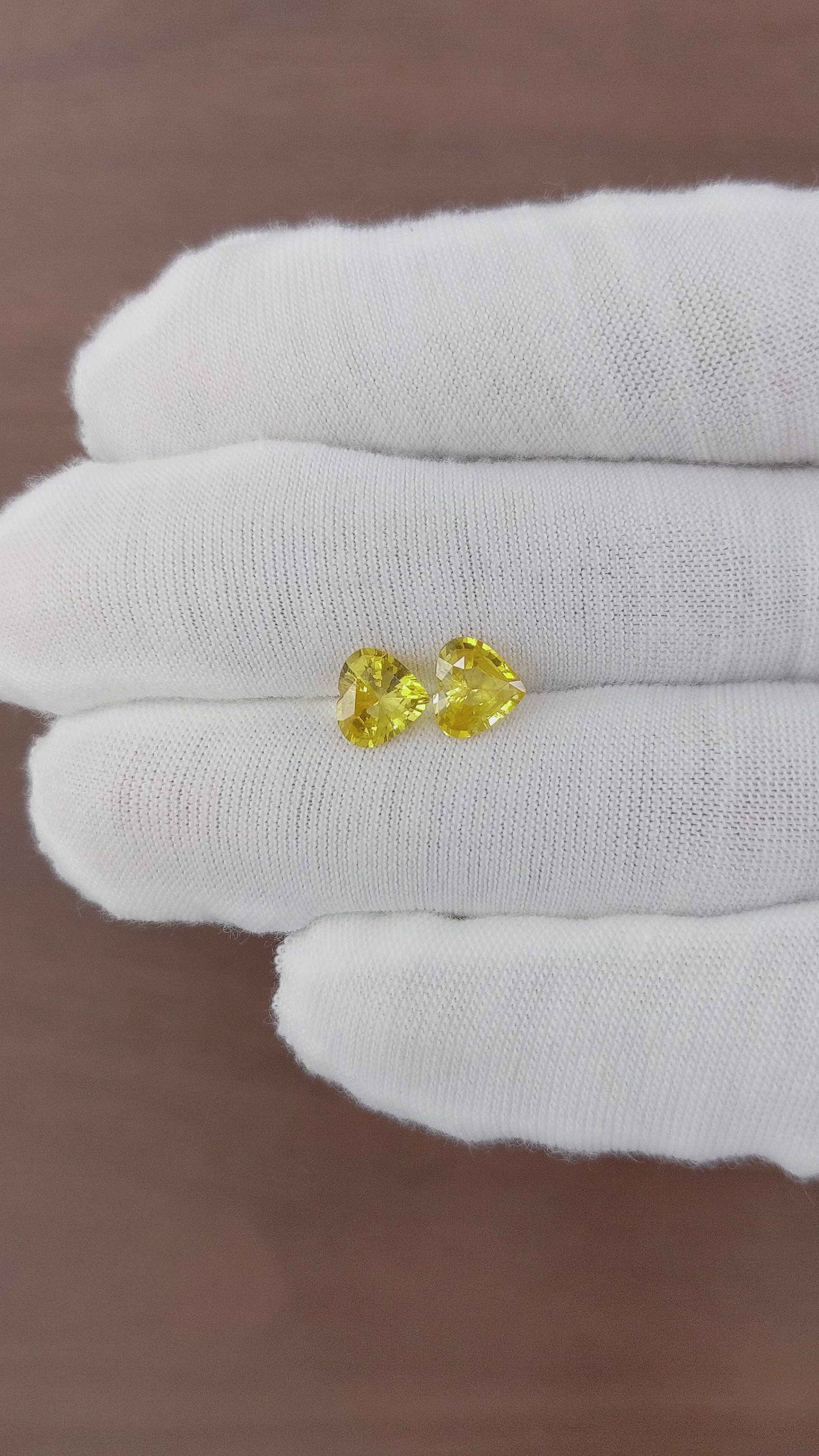 2.42 Ct.Tw.Total Carat Weight Yellow Sapphire Pair from Ceylon (Sri Lanka) Size Video