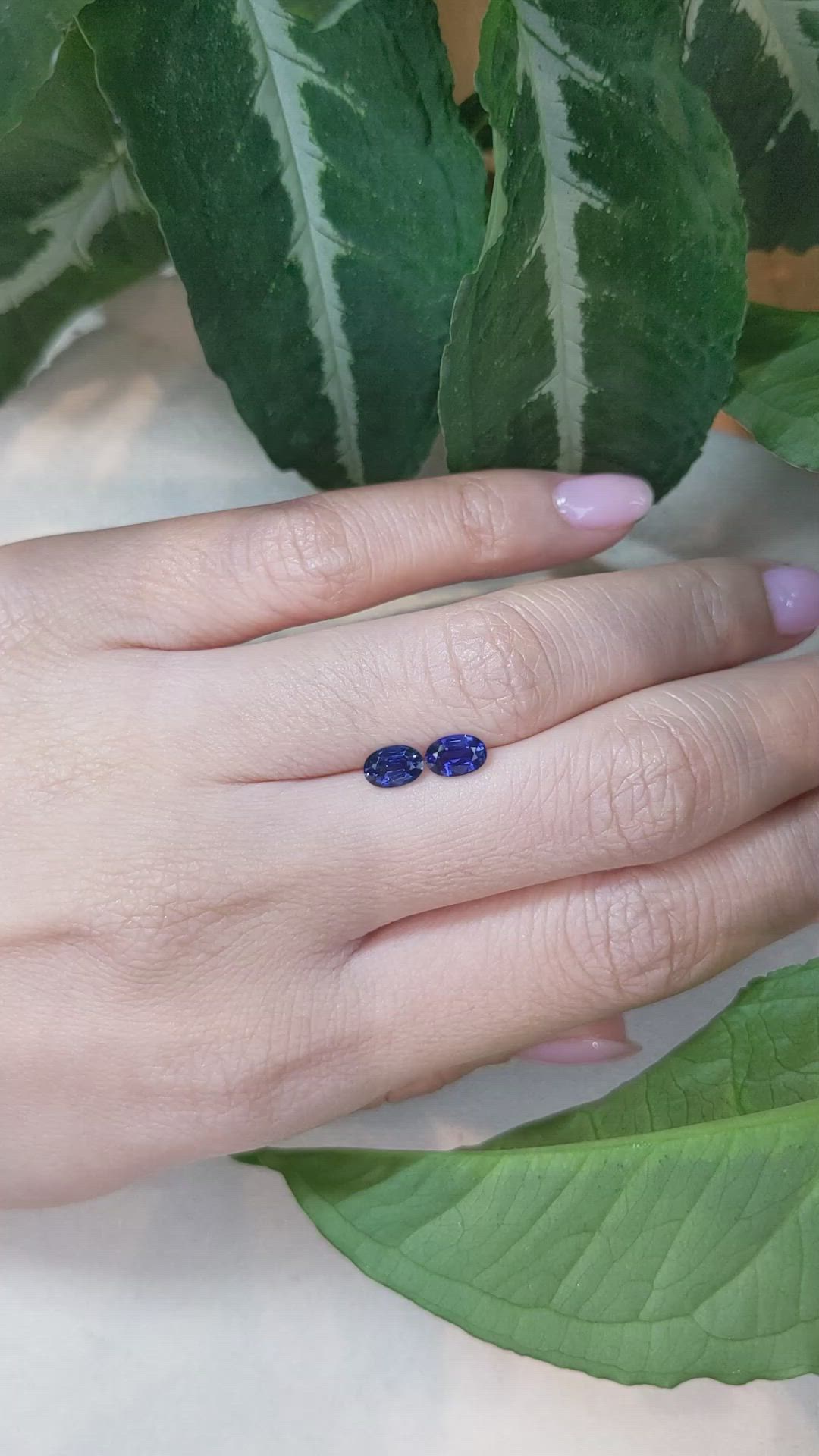 1.26&nbsp;Ct.Tw.Total Carat Weight Blue Sapphire Pair from Ceylon (Sri Lanka) Size Video