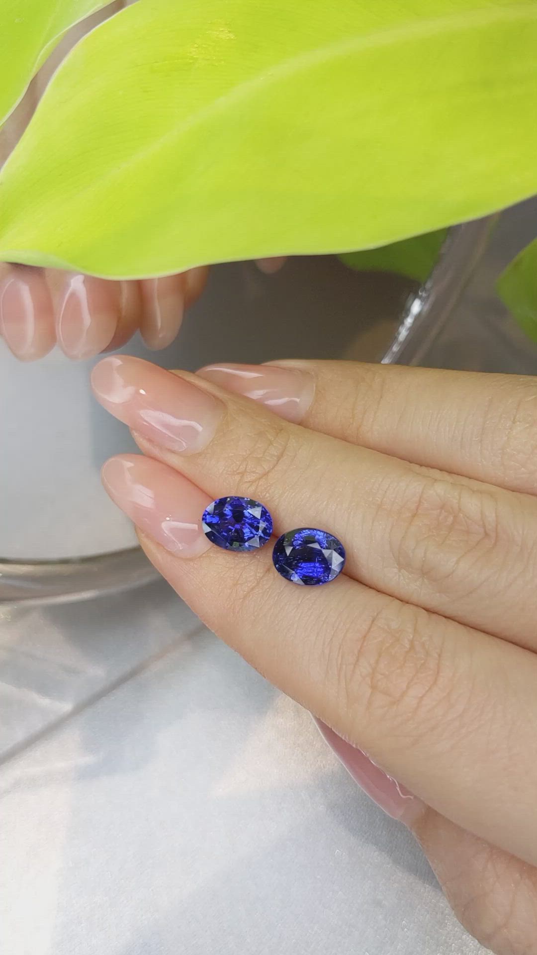 5.77&nbsp;Ct.Tw.Total Carat Weight Blue Sapphire Pair from Ceylon (Sri Lanka) Size Video