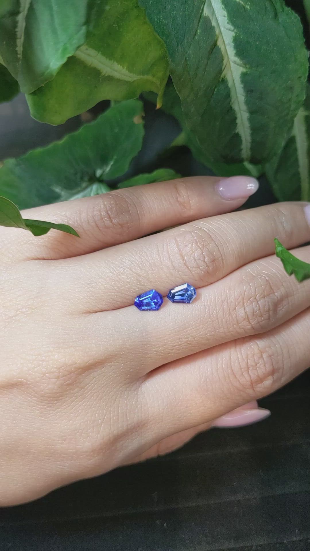 1.52&nbsp;Ct.Tw.Total Carat Weight Blue Sapphire Pair from Ceylon (Sri Lanka) Size Video