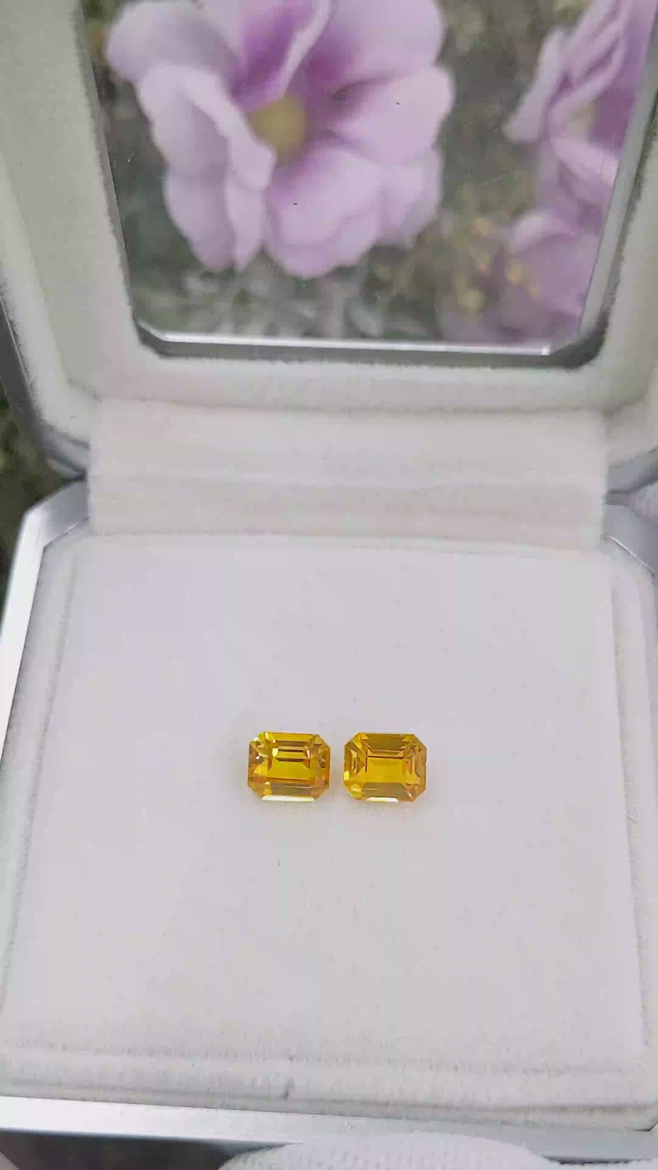 3.10 Ct.Tw.Total Carat Weight Yellow Sapphire Pair from Ceylon (Sri Lanka) Size Video