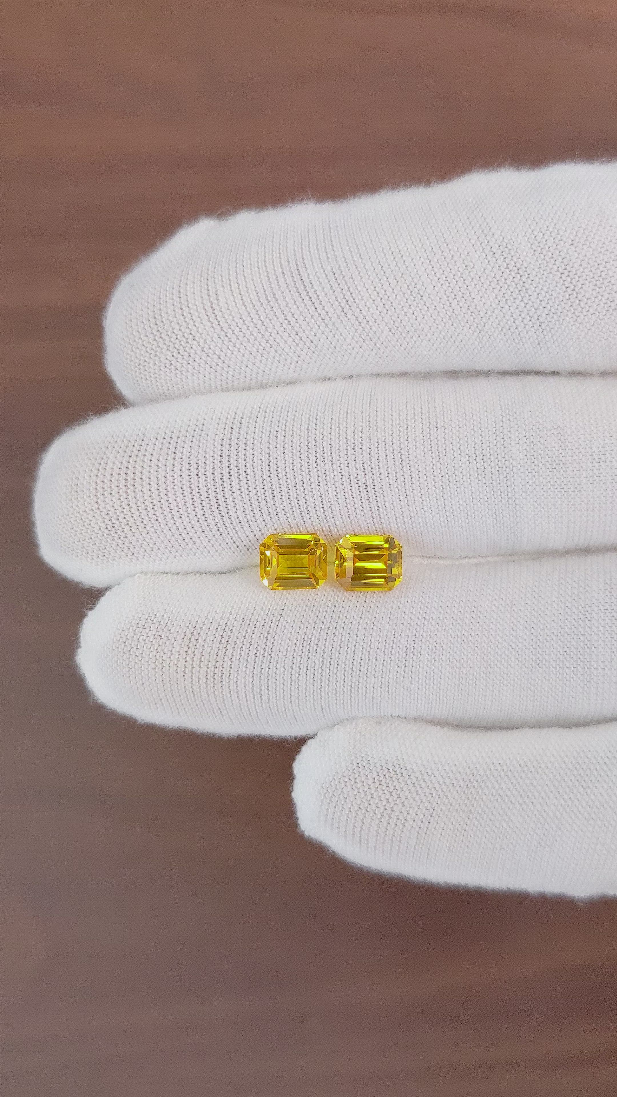 3.10 Ct.Tw.Total Carat Weight Yellow Sapphire Pair from Ceylon (Sri Lanka) Size Video