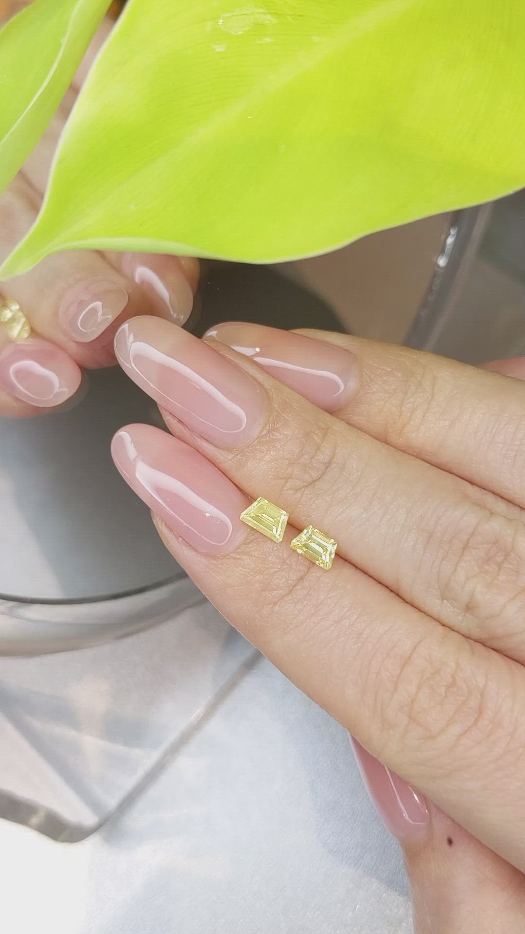 1.13&nbsp;Ct.Tw.Total Carat Weight Yellow Sapphire Pair from Ceylon (Sri Lanka) Size Video