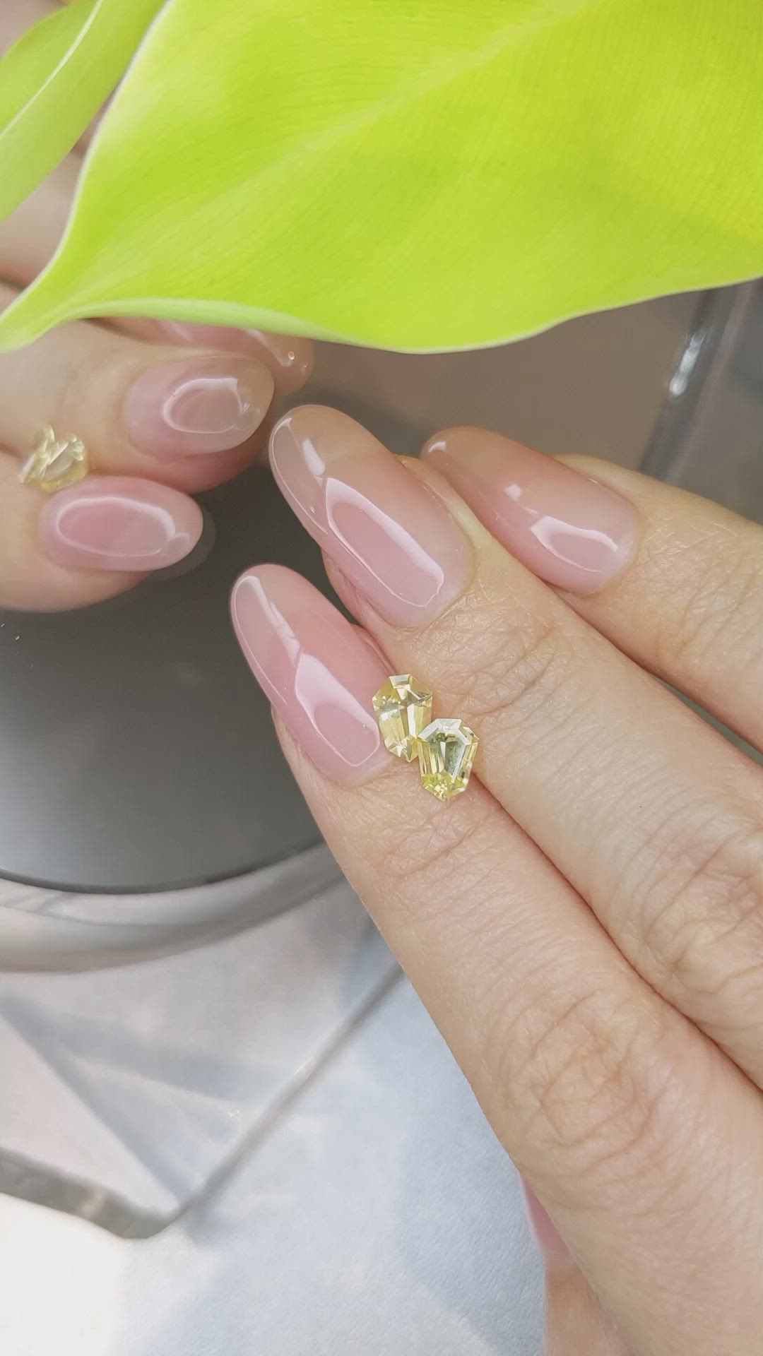 1.51 Ct.Tw.Total Carat Weight Yellow Sapphire Pair from Ceylon (Sri Lanka) Size Video