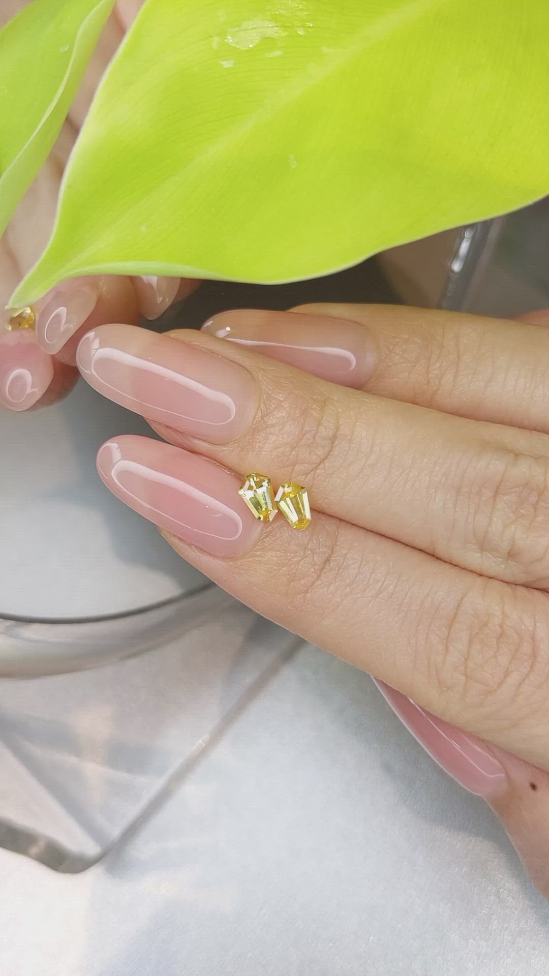 0.73 Ct.Tw.Total Carat Weight Yellow Sapphire Pair from Ceylon (Sri Lanka) Size Video