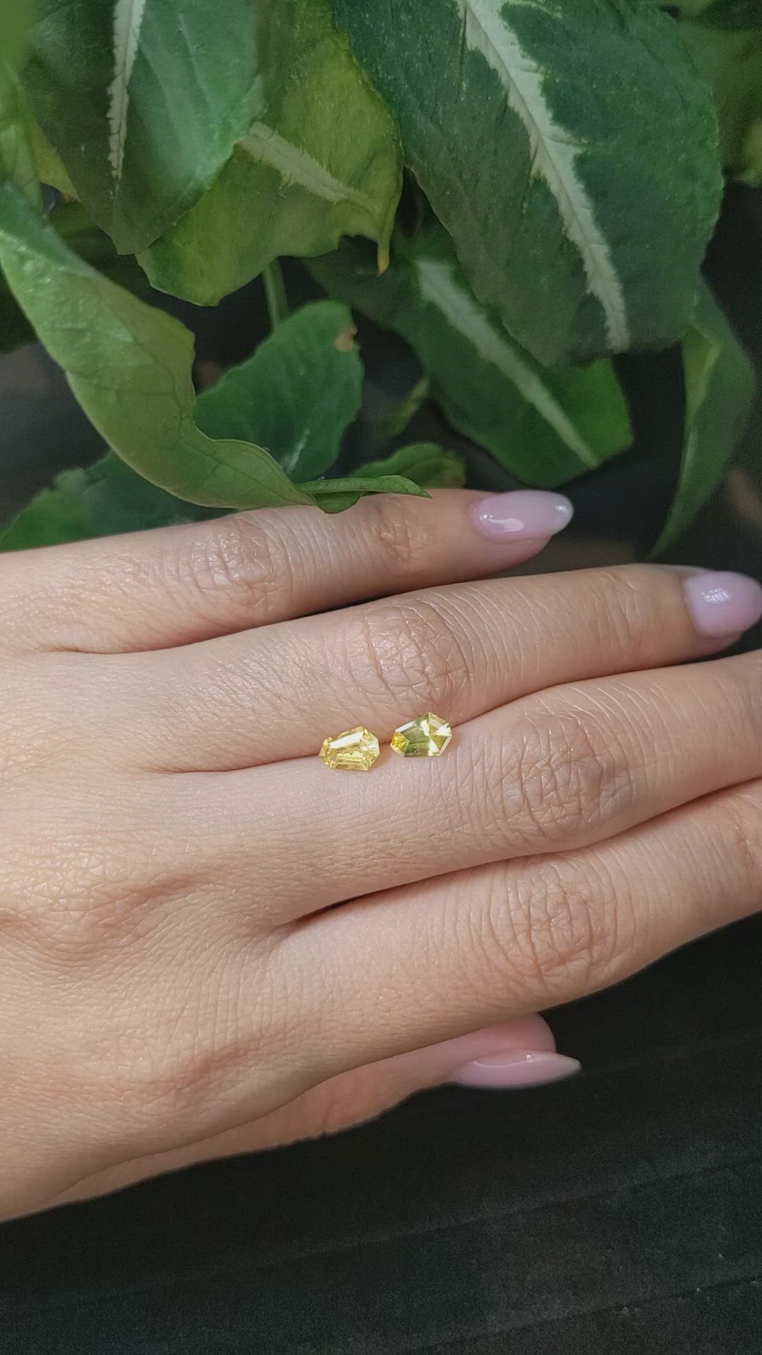 1.08&nbsp;Ct.Tw.Total Carat Weight Yellow Sapphire Pair from Ceylon (Sri Lanka) Size Video