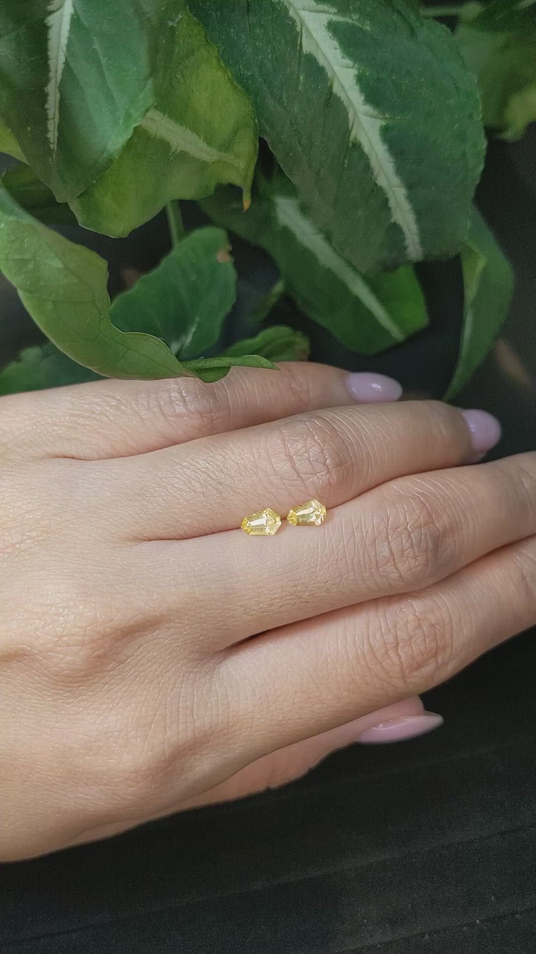 0.76&nbsp;Ct.Tw.Total Carat Weight Yellow Sapphire Pair from Ceylon (Sri Lanka) Size Video