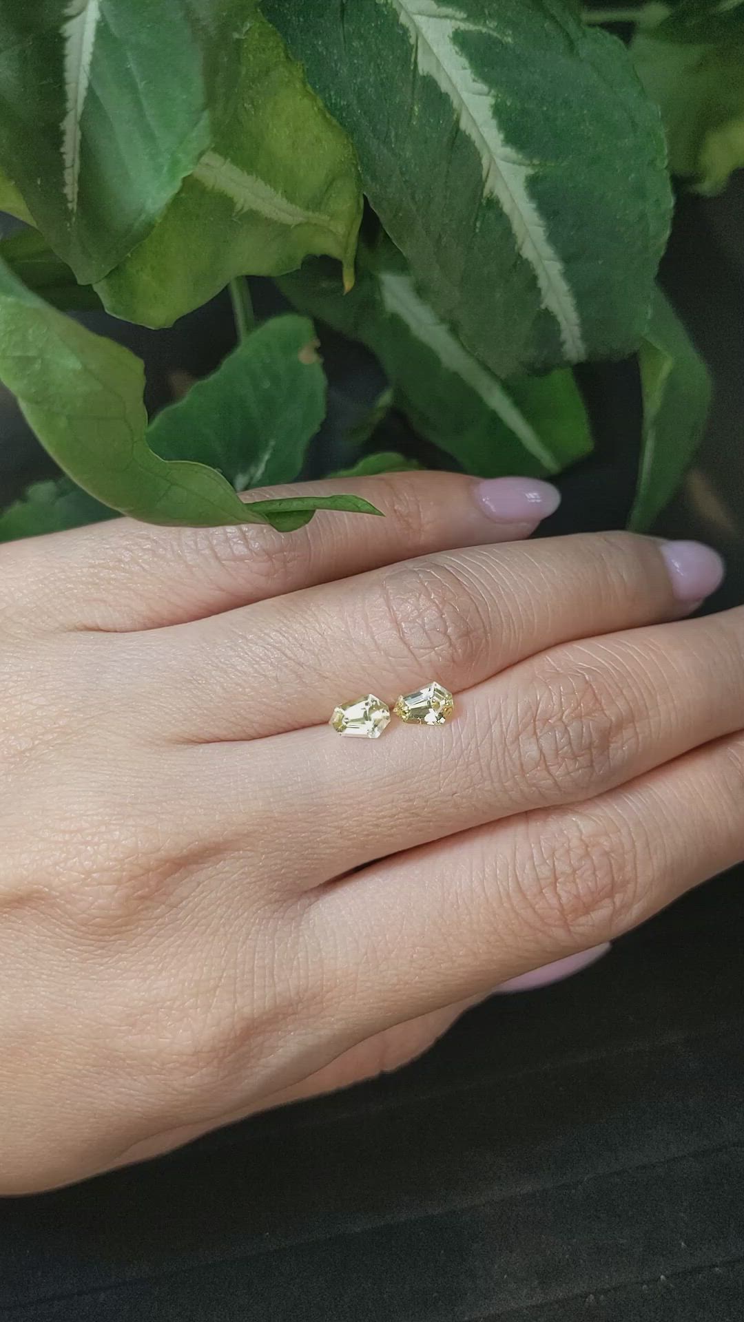 1.12&nbsp;Ct.Tw.Total Carat Weight Yellow Sapphire Pair from Ceylon (Sri Lanka) Size Video