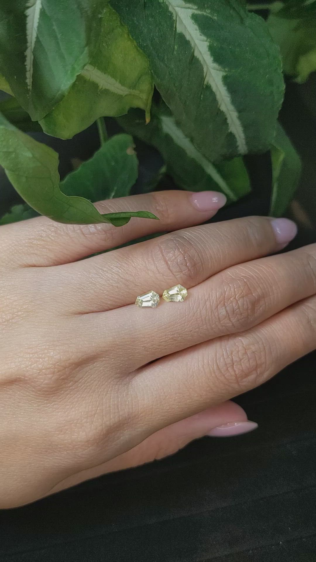 1.09&nbsp;Ct.Tw.Total Carat Weight Yellow Sapphire Pair from Ceylon (Sri Lanka) Size Video