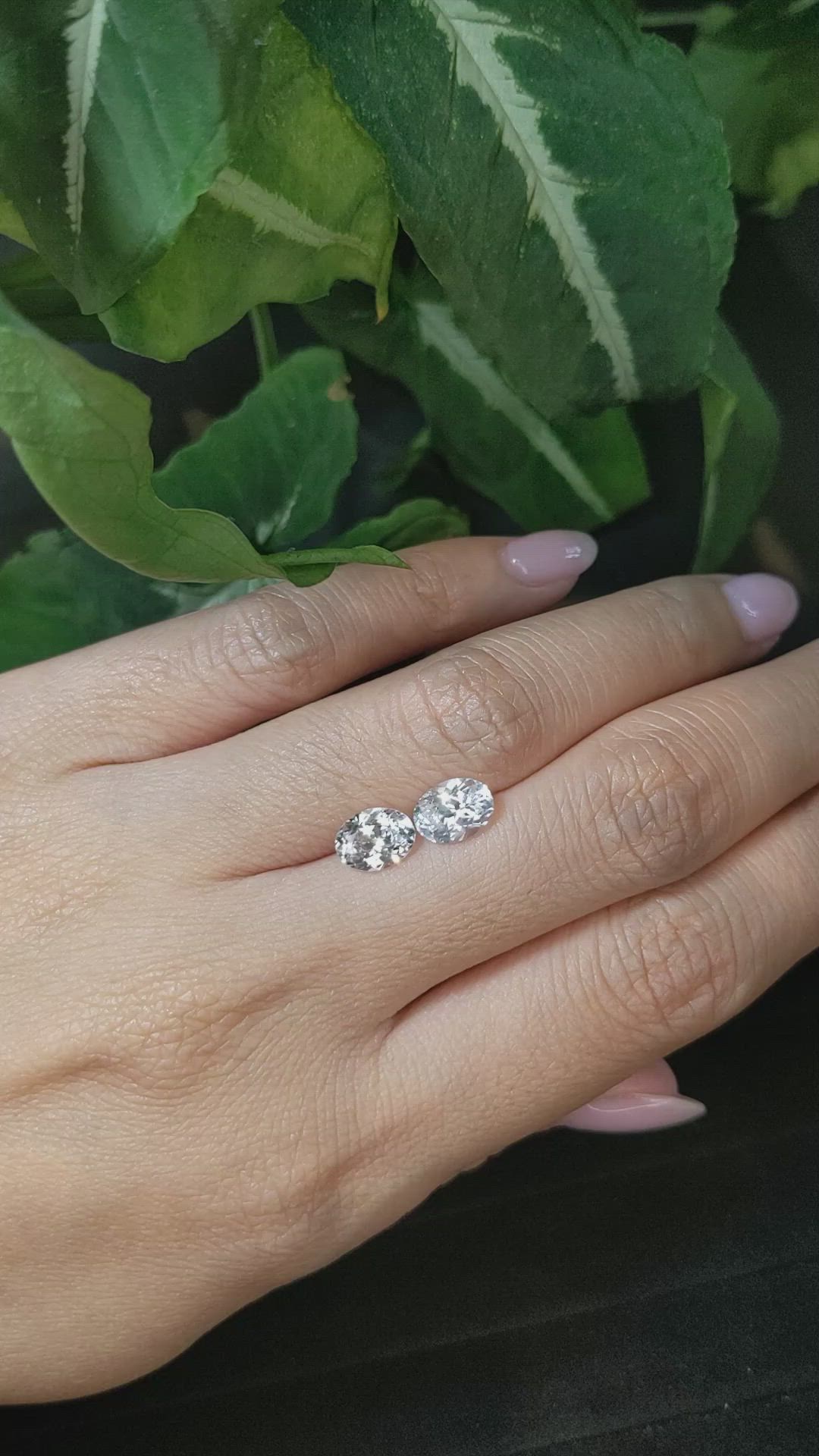 2.67&nbsp;Ct.Tw.Total Carat Weight White Sapphire Pair from Ceylon (Sri Lanka) Size Video