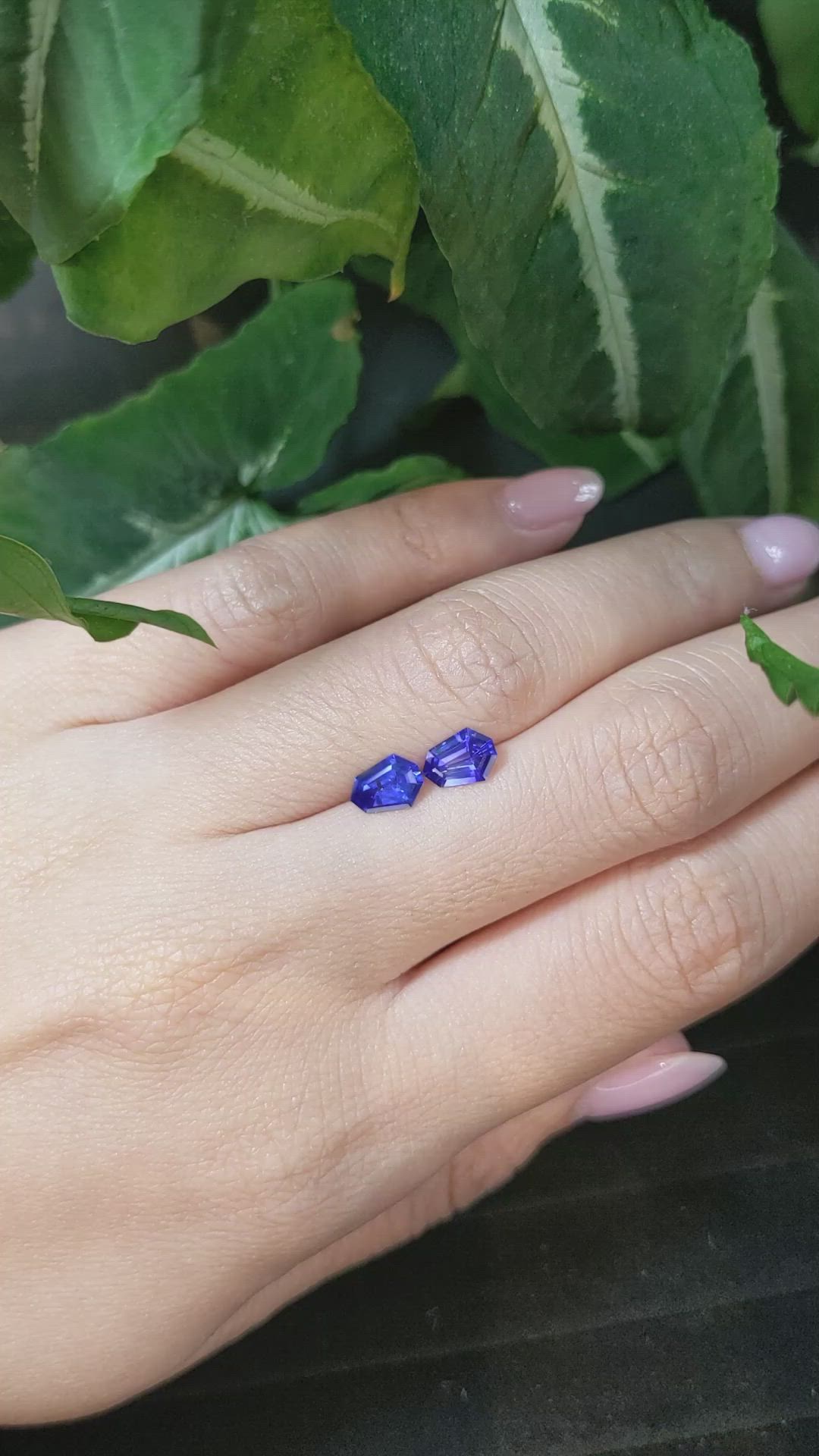 1.48 Ct.Tw.Total Carat Weight Color Change Sapphire Pair from Ceylon (Sri Lanka) Size Video