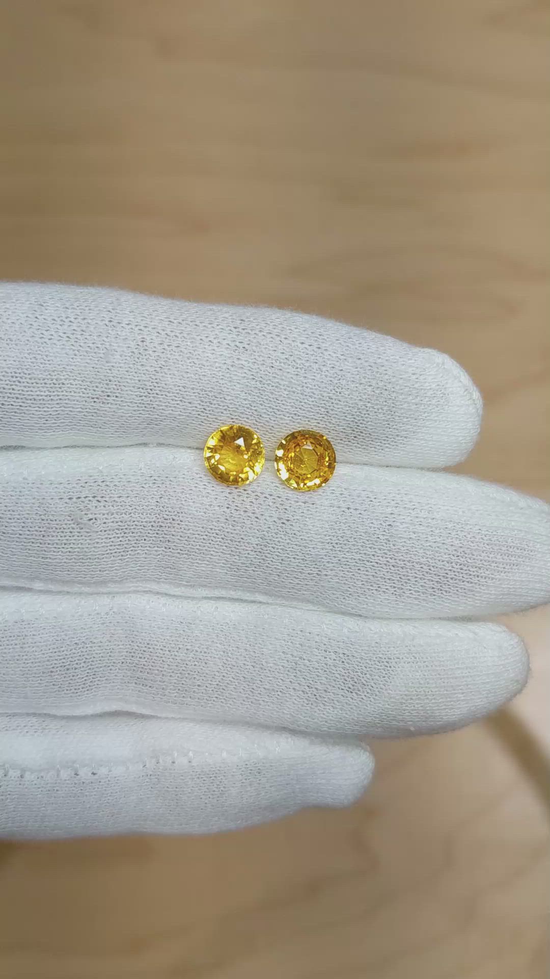 3.38 Ct.Tw.Total Carat Weight Yellow Sapphire Pair from Ceylon (Sri Lanka) Size Video