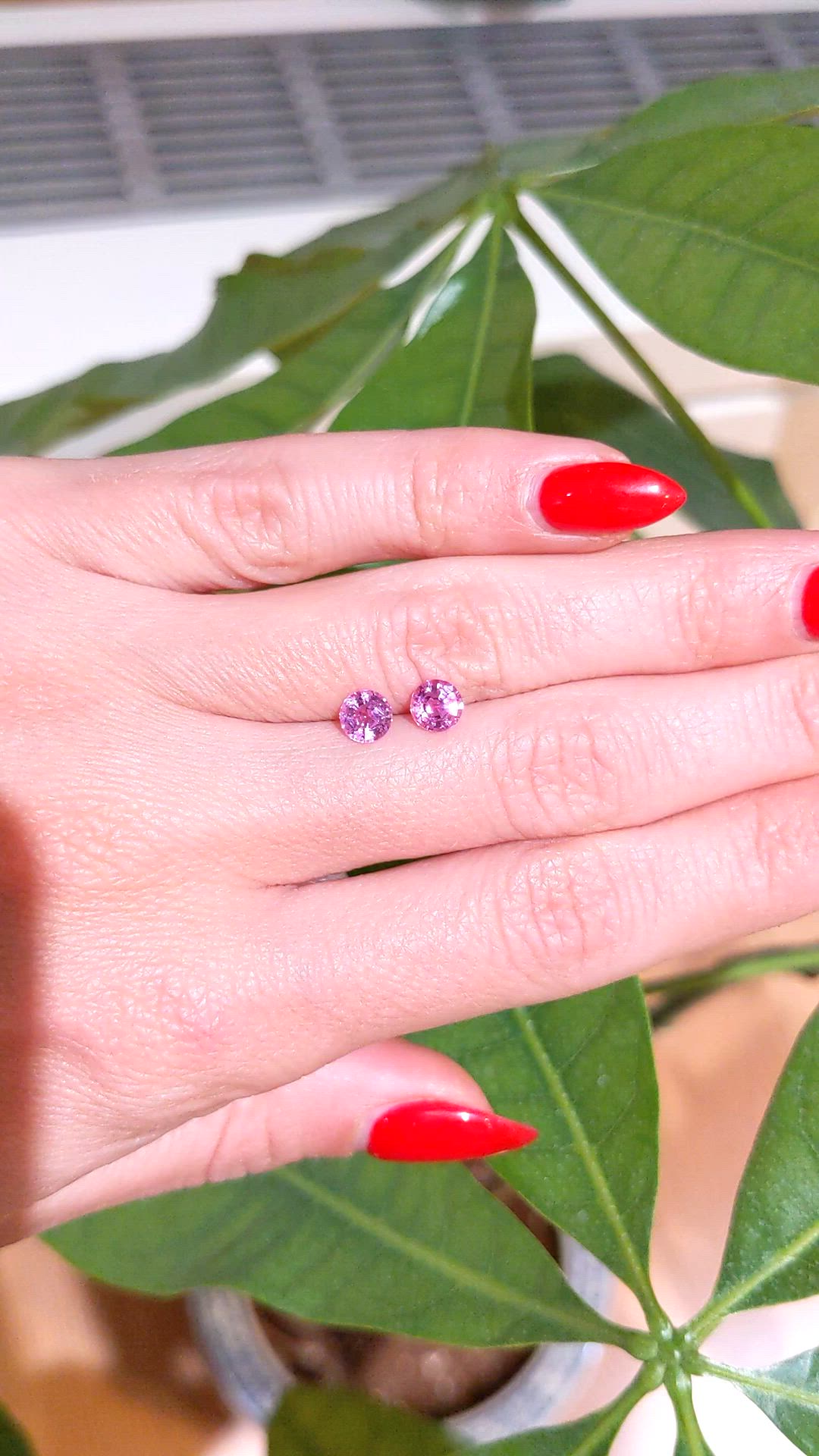 1.43&nbsp;Ct.Tw.Total Carat Weight Pink Sapphire Pair from Ceylon (Sri Lanka) Size Video