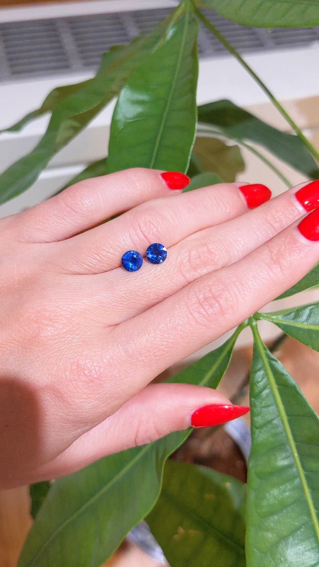 1.97&nbsp;Ct.Tw.Total Carat Weight Blue Sapphire Pair from Ceylon (Sri Lanka) Size Video