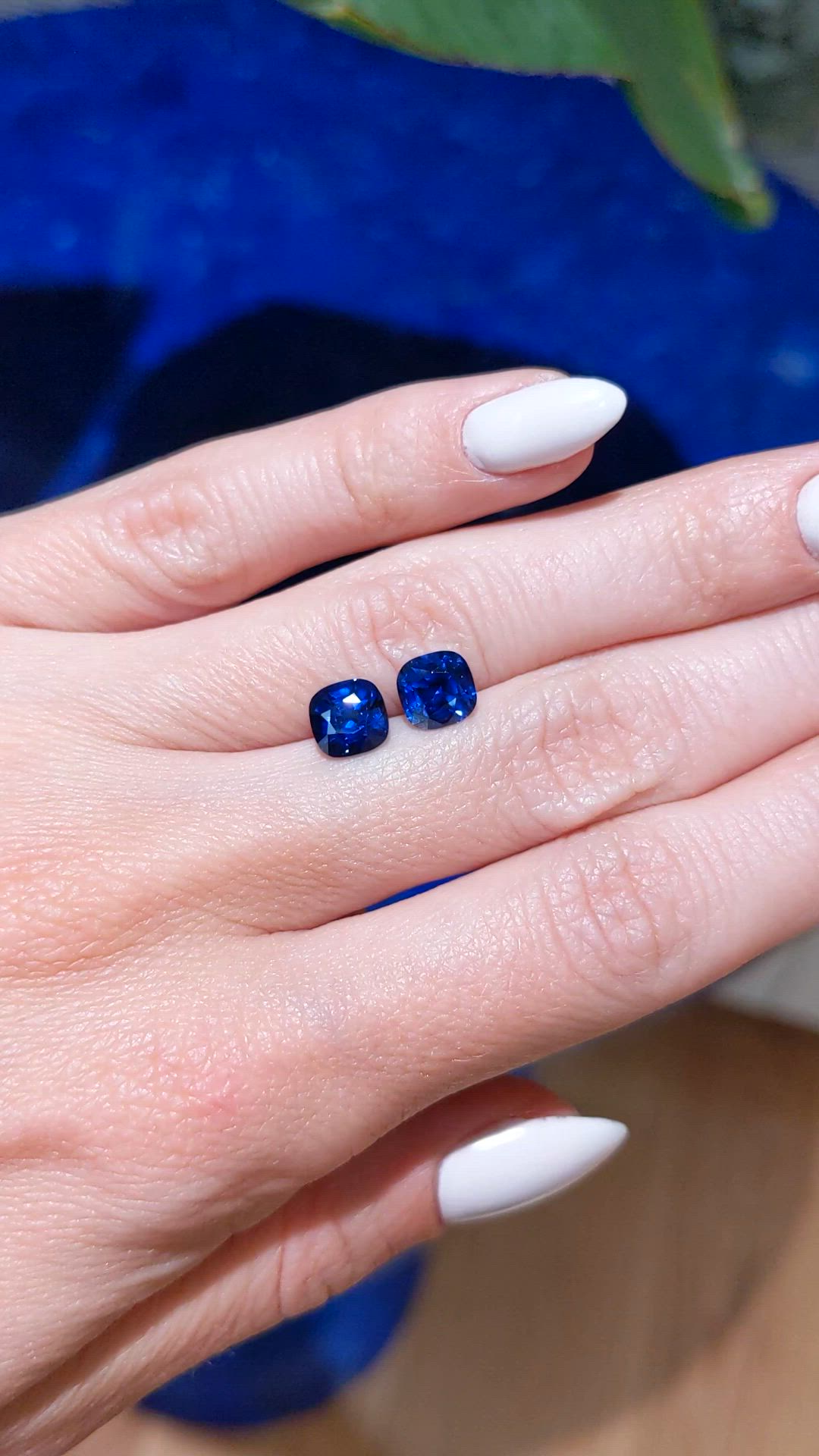 3.38&nbsp;Ct.Tw.Total Carat Weight Blue Sapphire Pair from Ceylon (Sri Lanka) Size Video